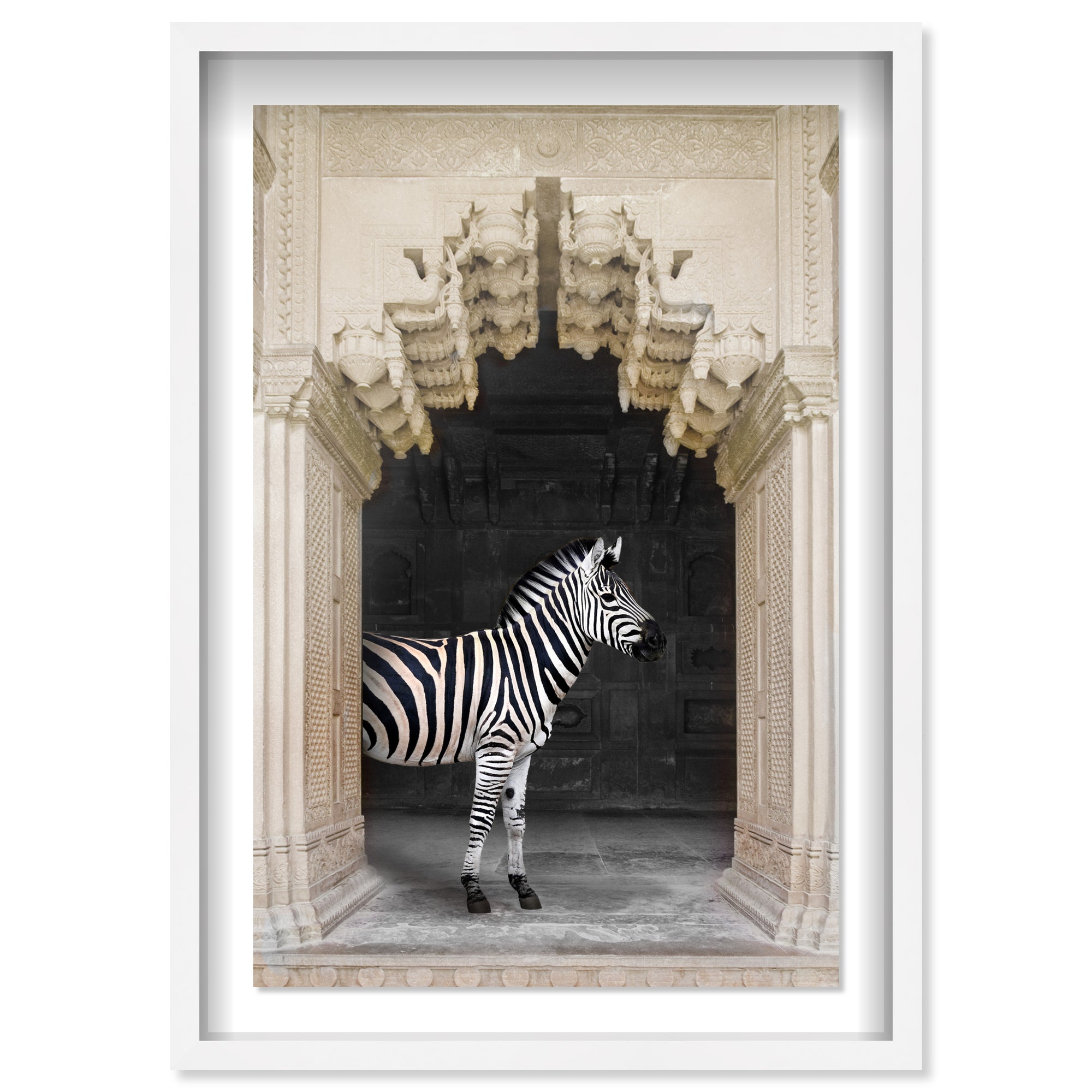 Zebras Apartment is Cream