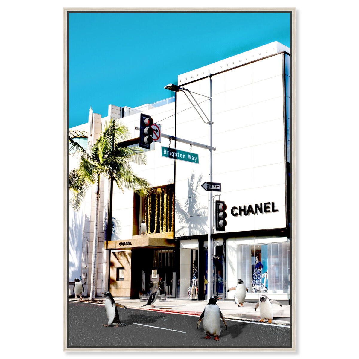 36x54/Canvas/CFL