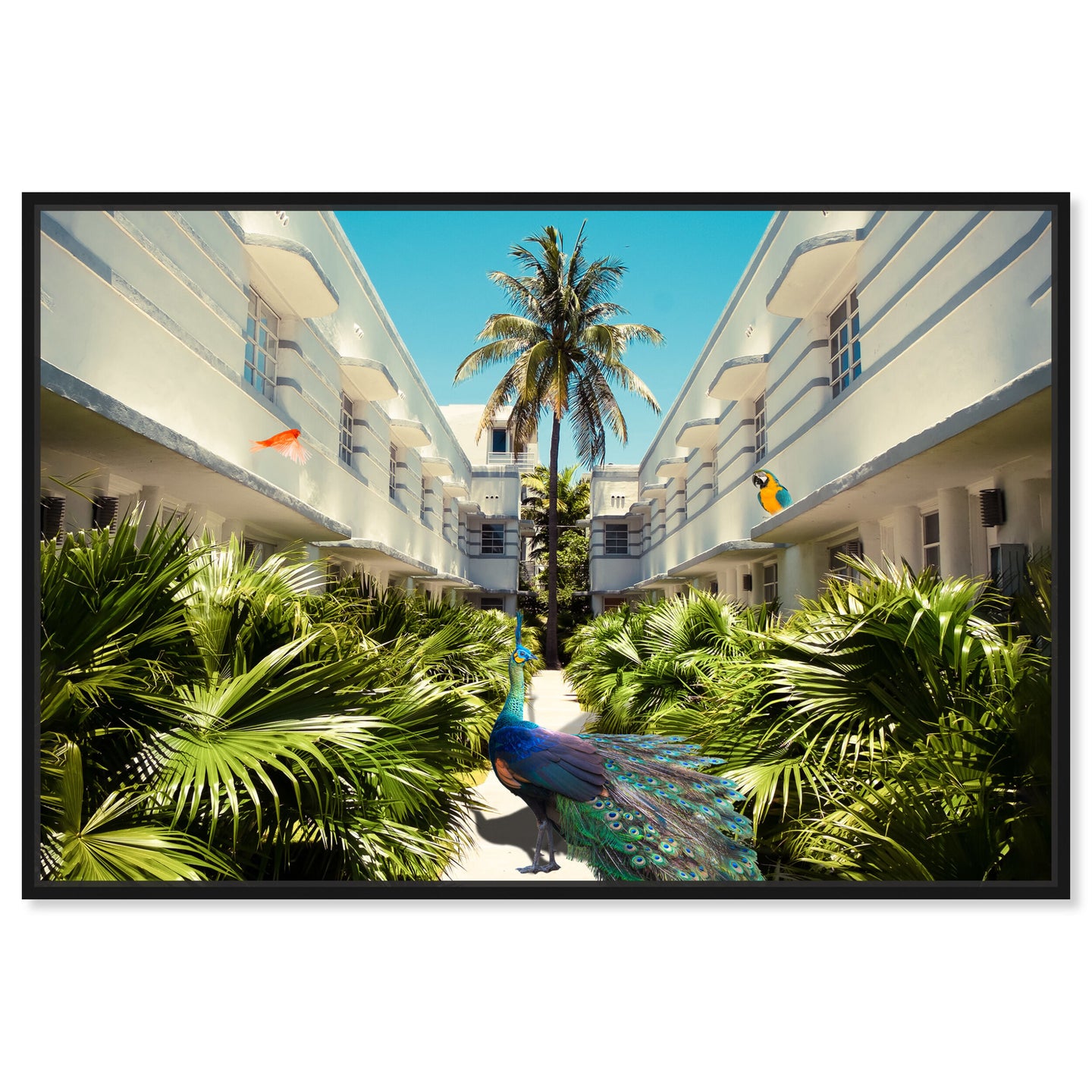 54x36/Framed Canvas/BFL