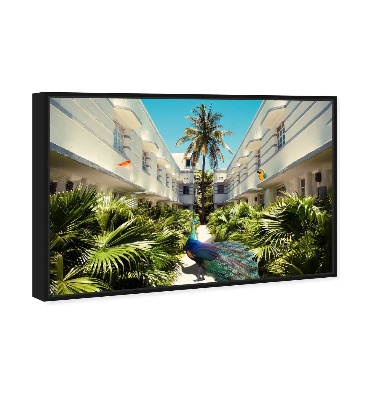 54x36/Framed Canvas/BFL