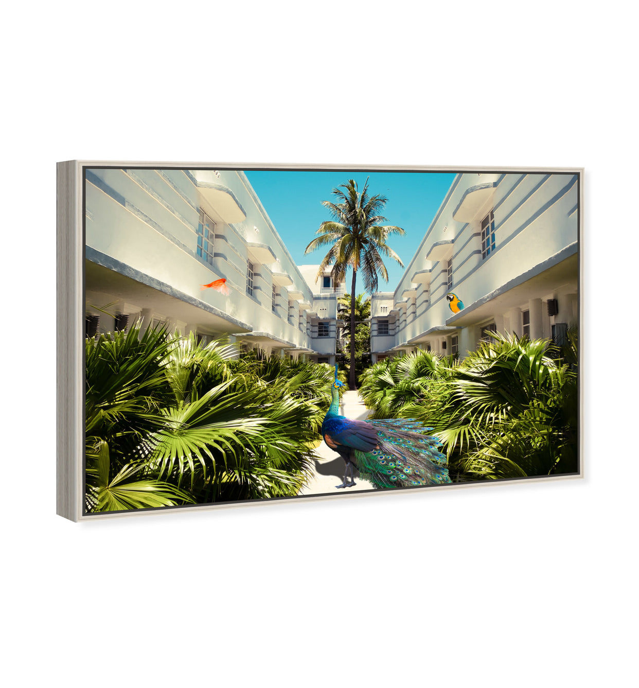 54x36/Framed Canvas/CFL