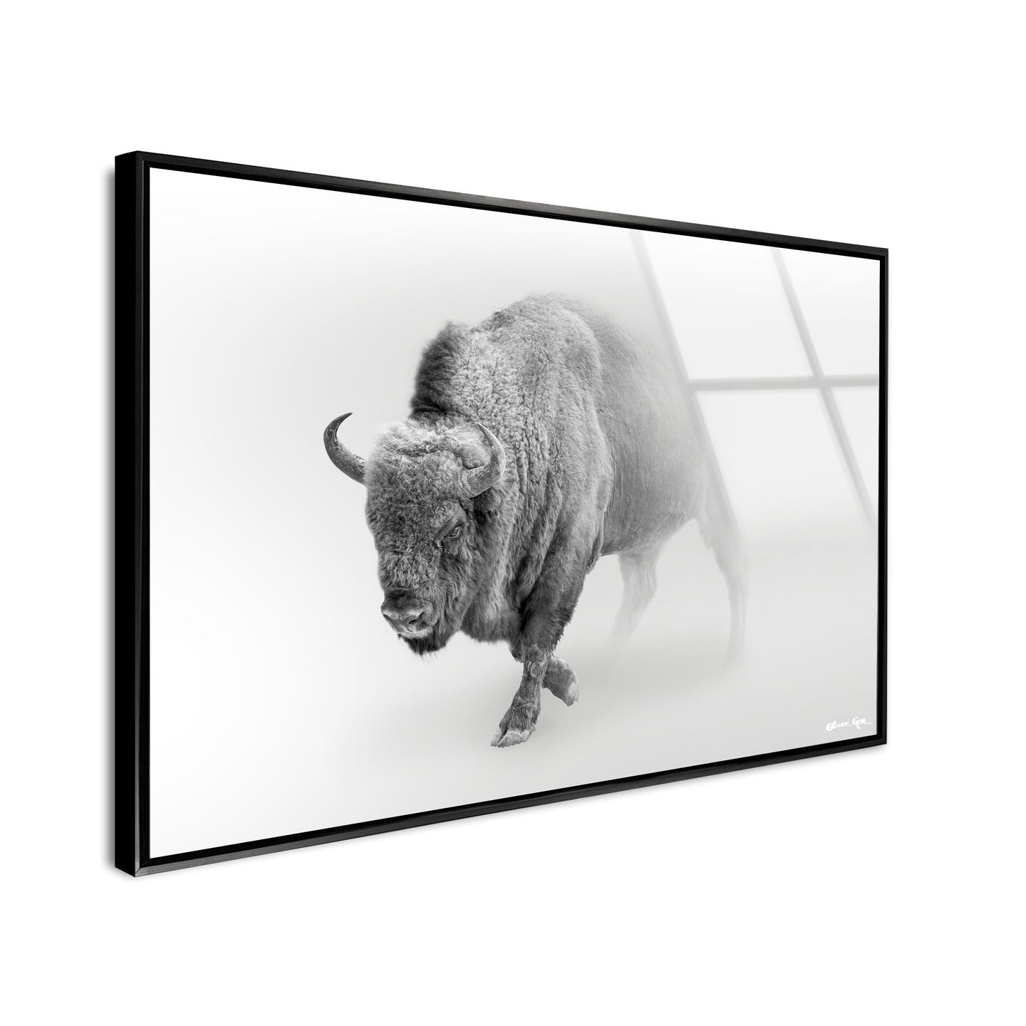 A Wild Bill - Framed Acrylic Art
