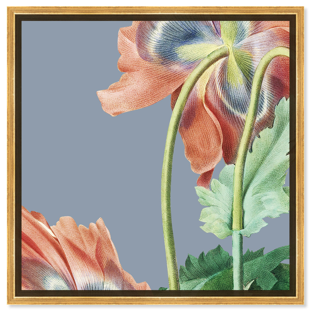 Flower I | Floral and Botanical Wall Art by The Oliver Gal