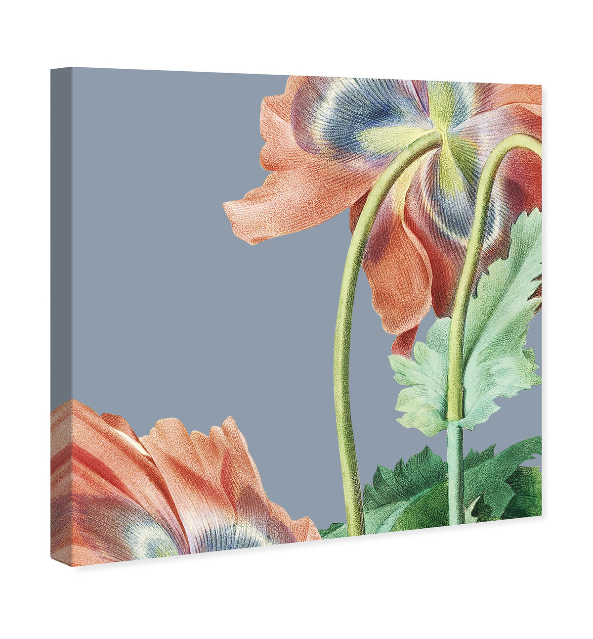 Flower I | Floral and Botanical Wall Art by The Oliver Gal