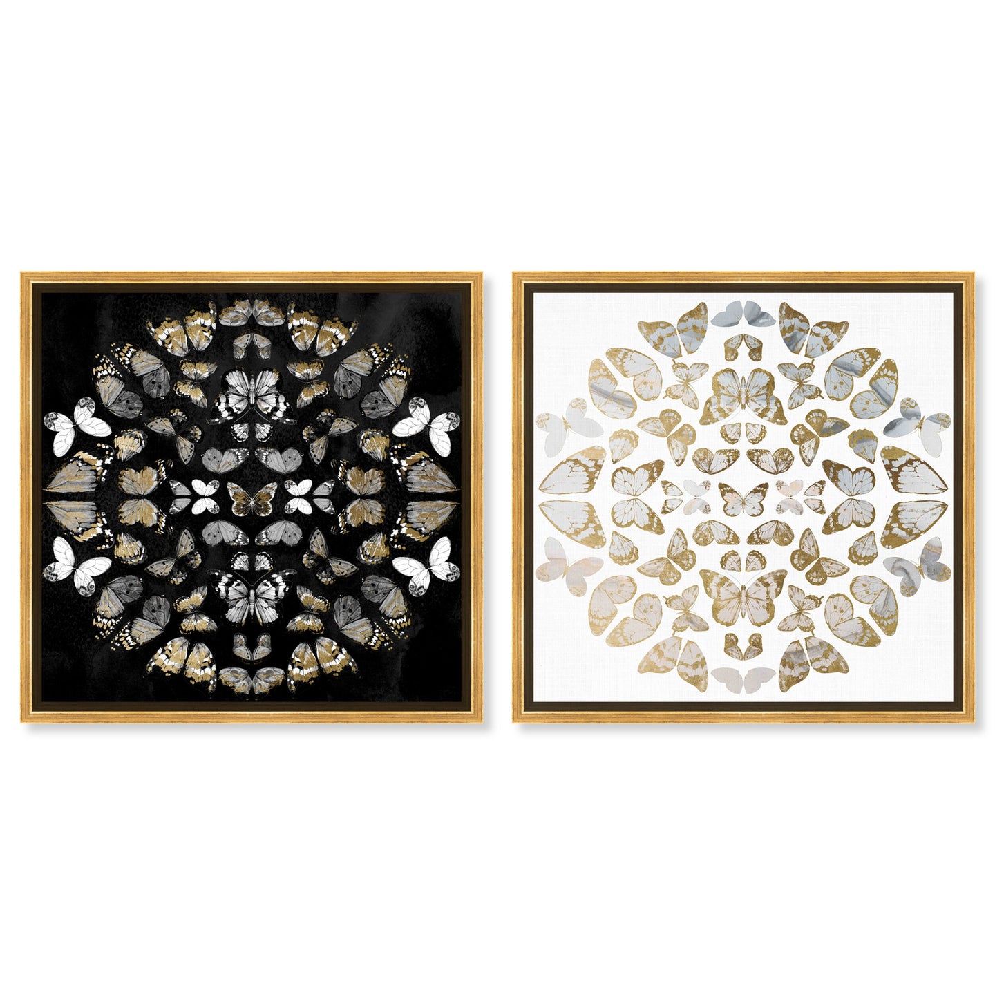 Butterfly Dream SET - Displayed in a Floating Frame