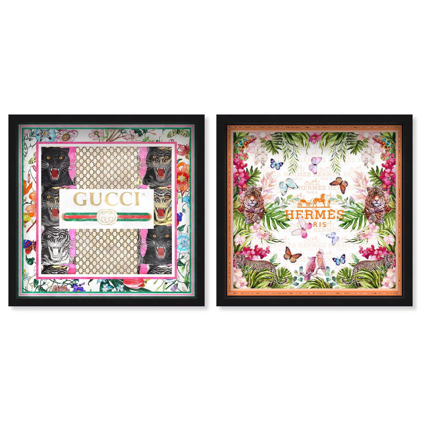 Grand Jungle Fashion SET - Displayed in a shadowbox