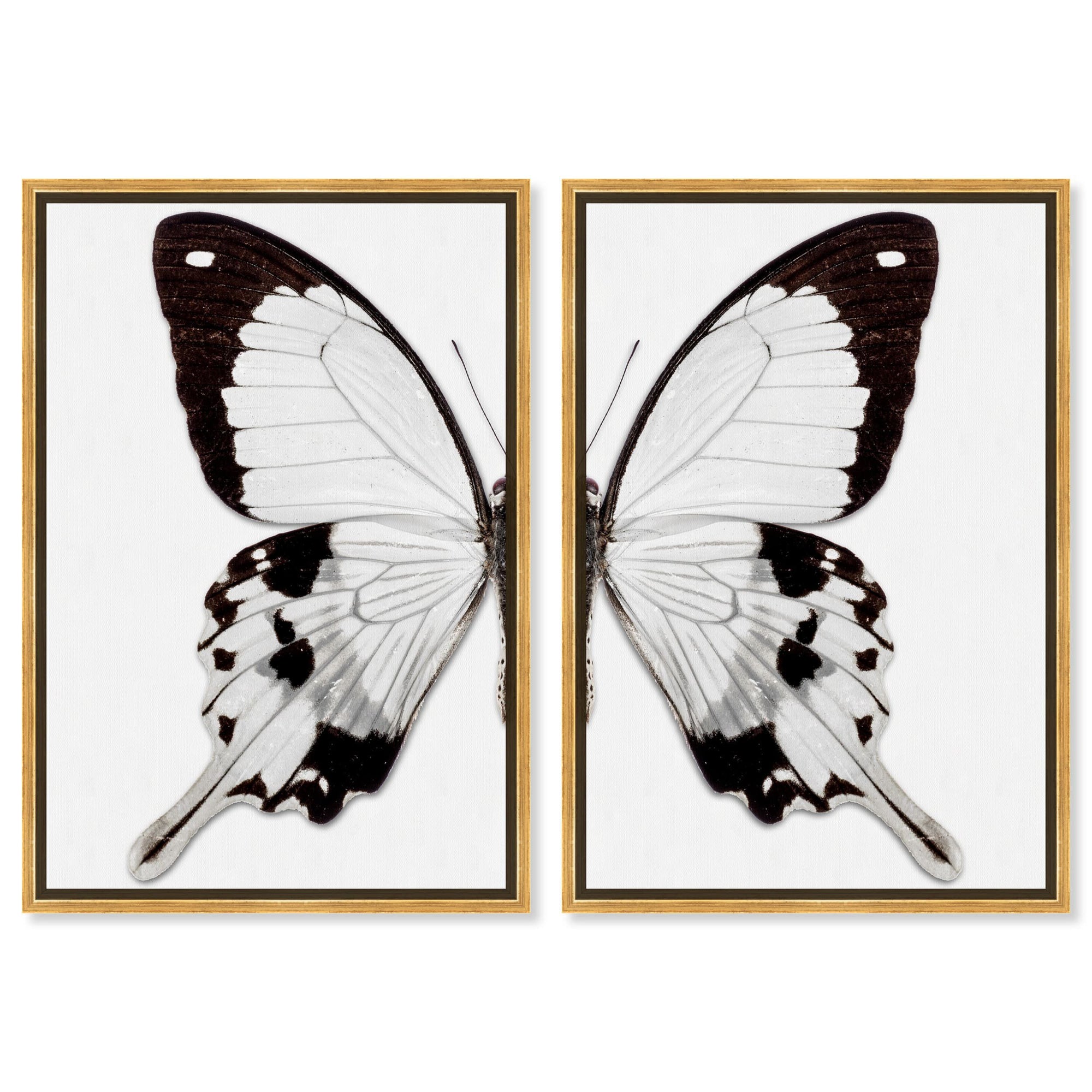 Monochrome Butterfly I and II Wings SET - Displayed in a Floating Frame