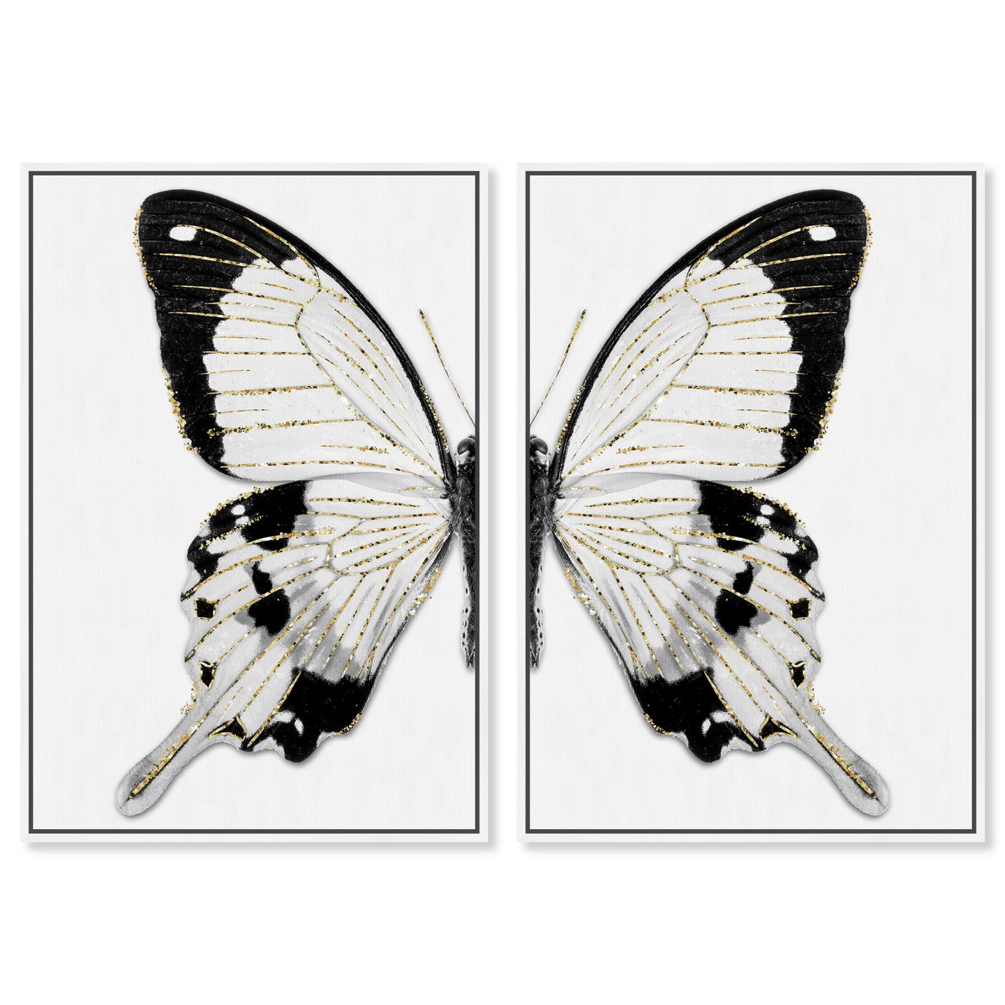 Monochrome Butterfly SET