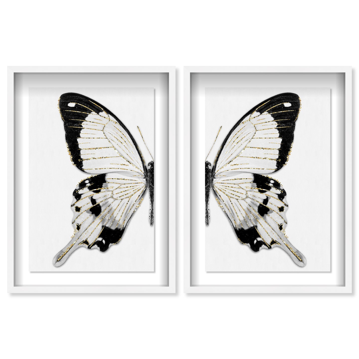 Monochrome Butterfly SET
