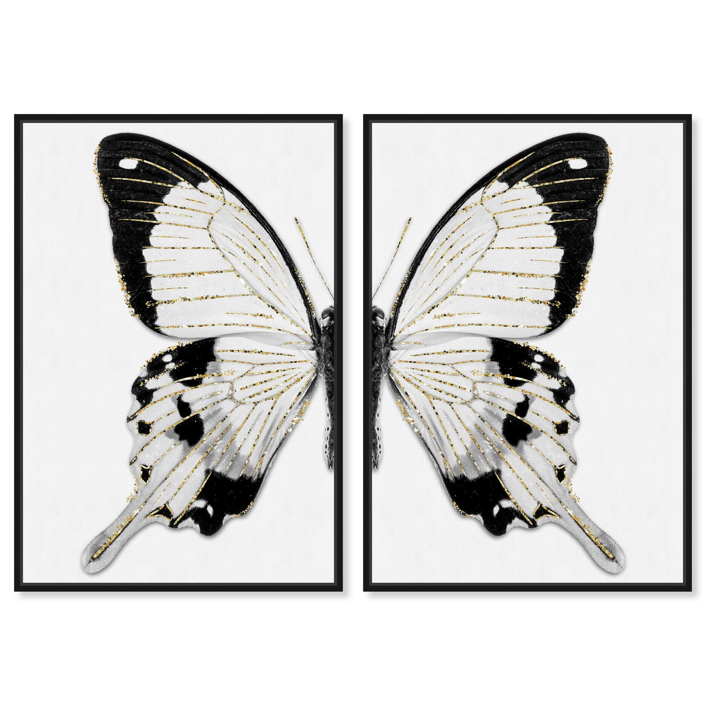 Monochrome Butterfly SET