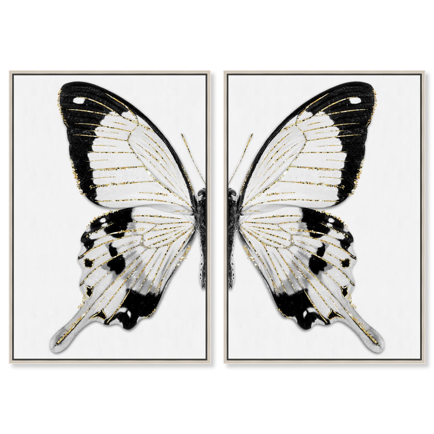 Monochrome Butterfly SET
