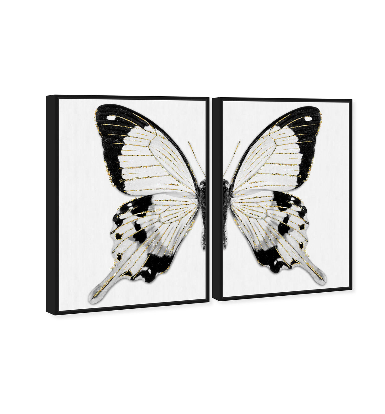 36x54x2/Museum Grade Canvas/BFL
