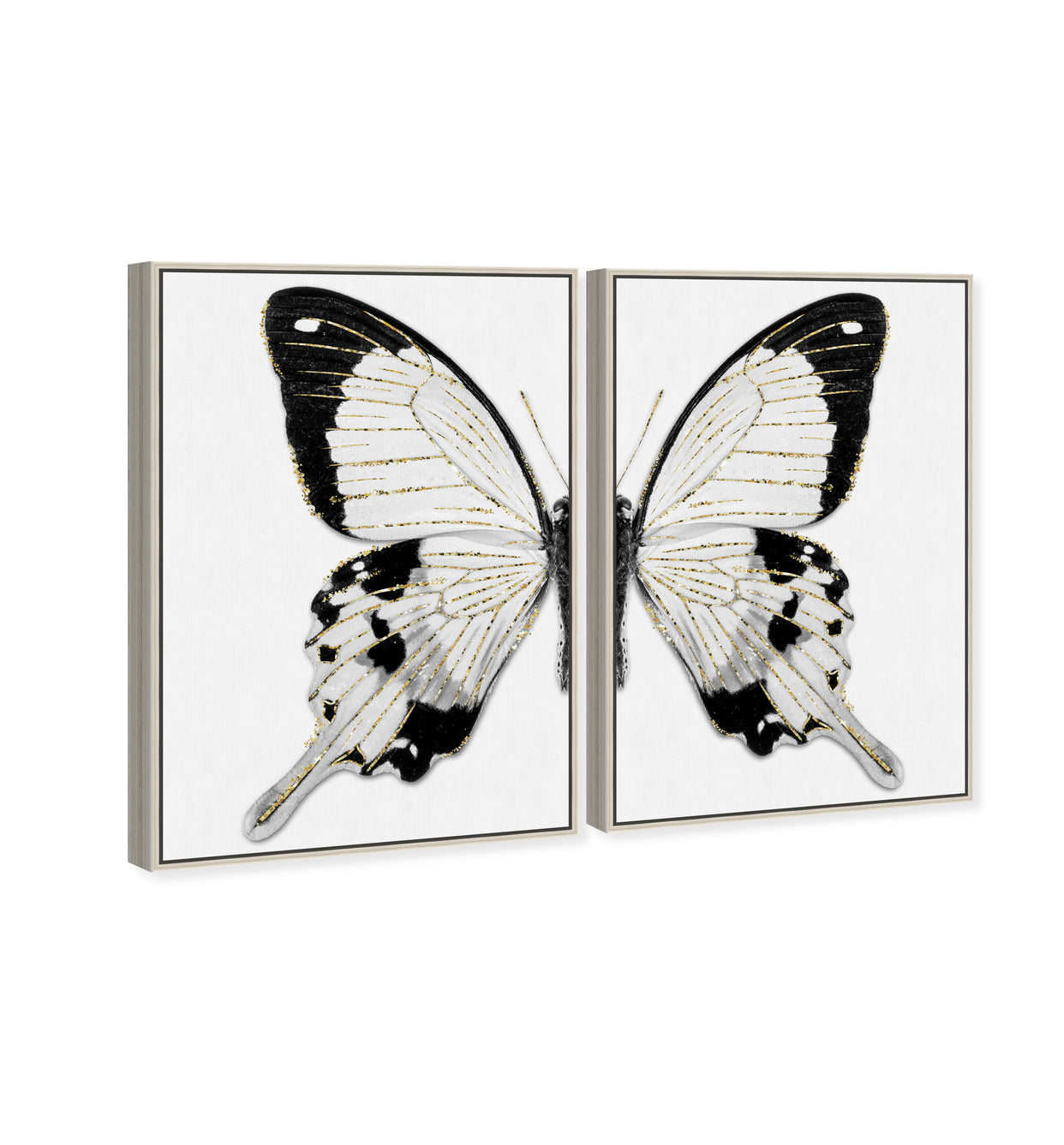 36x54x2/Museum Grade Canvas/CFL