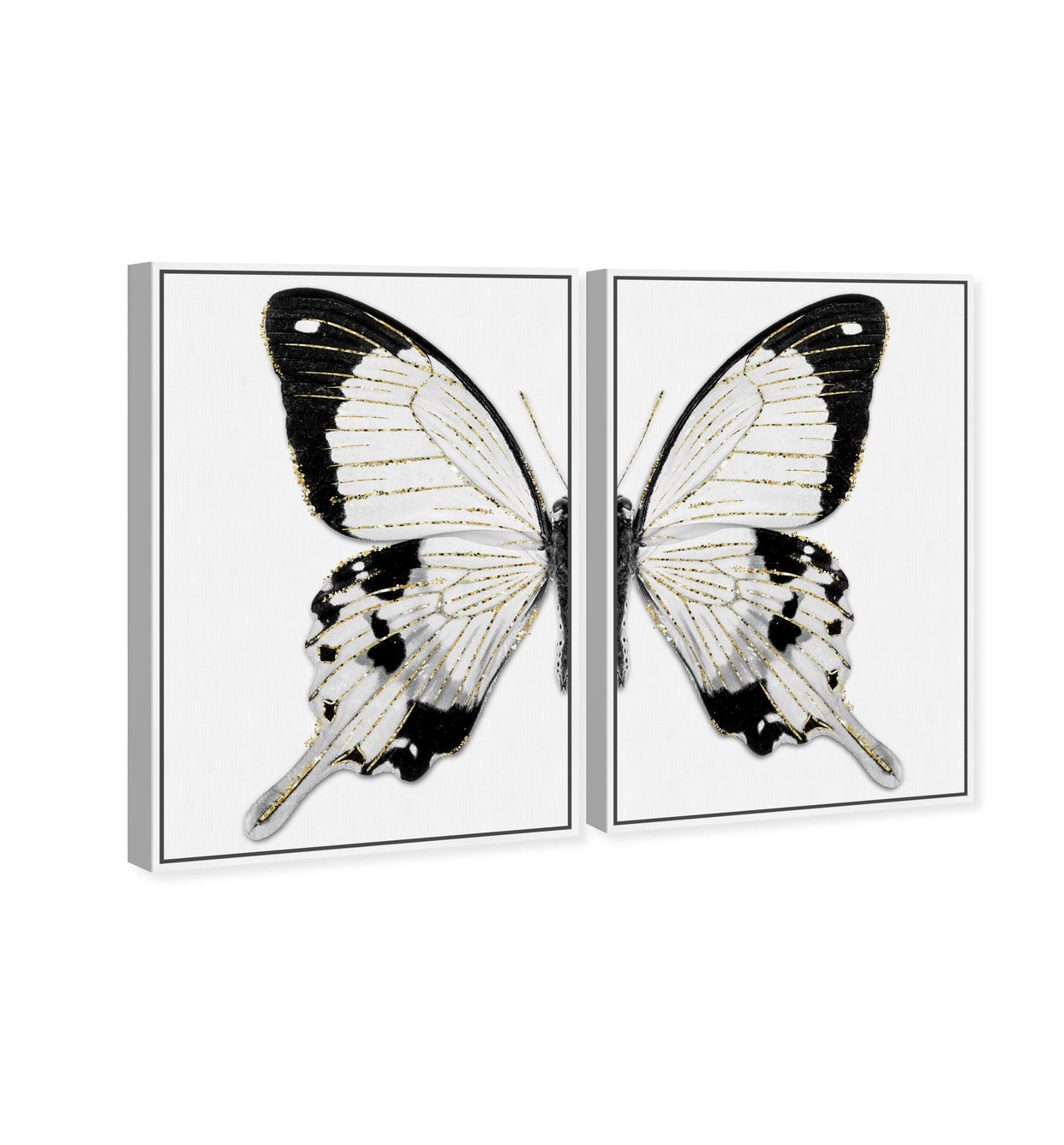 36x54x2/Museum Grade Canvas/WFL
