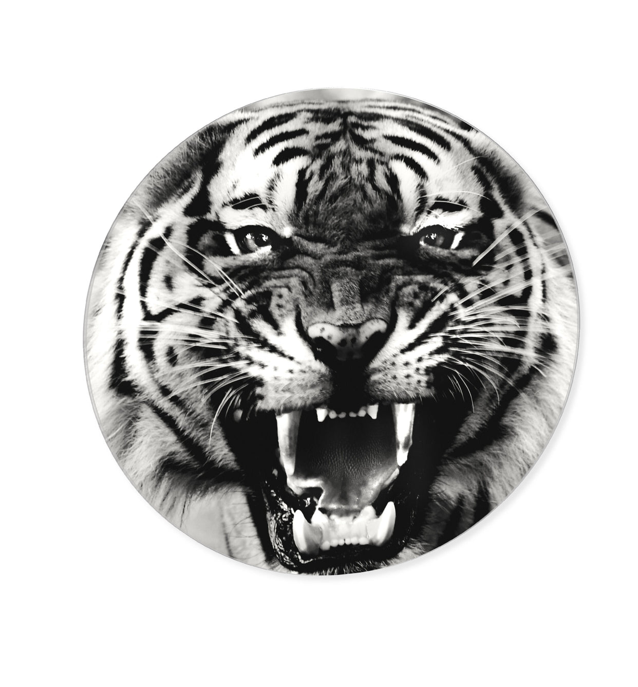 Wild Tiger - Round Acrylic Art