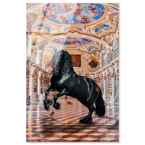 Stallion at the Library