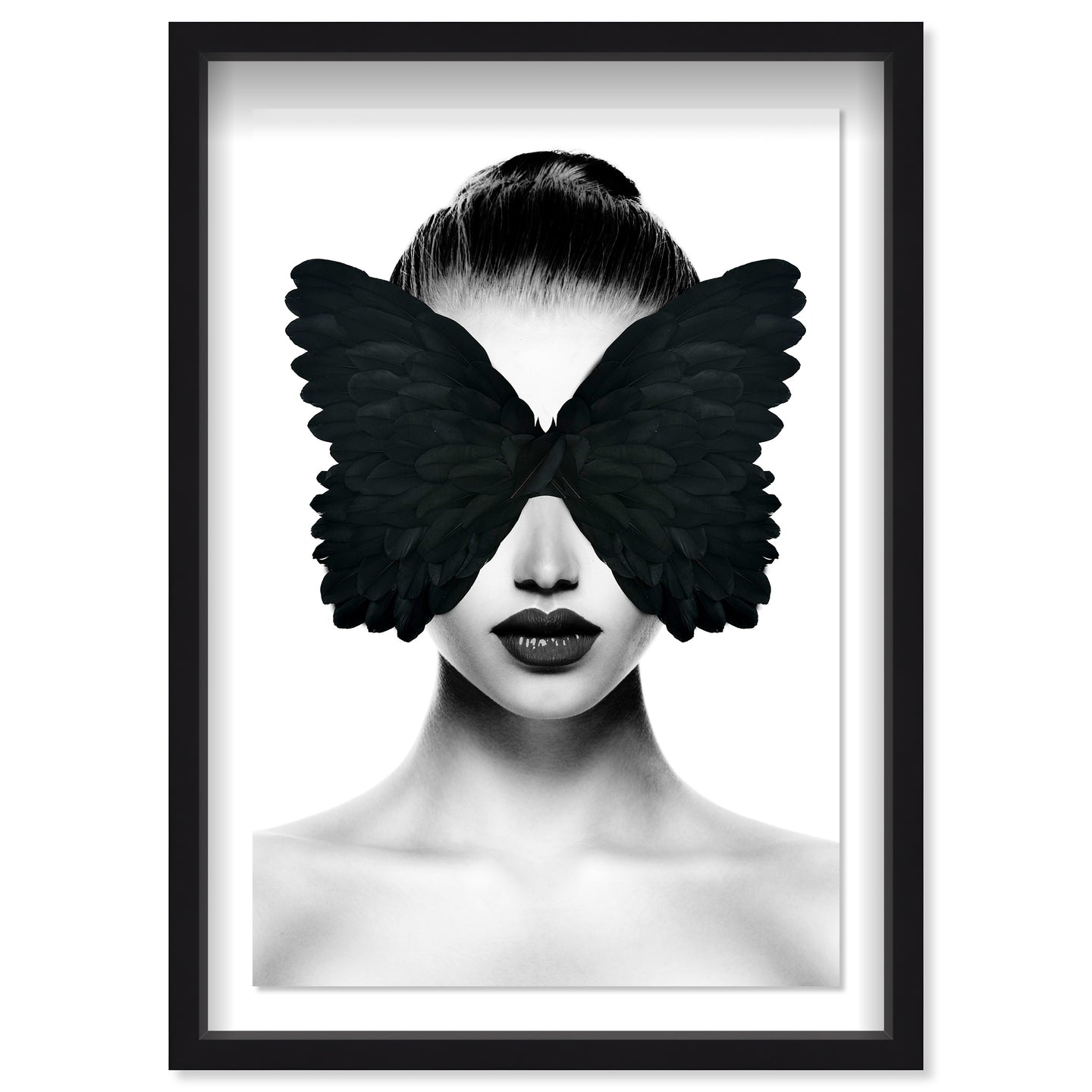 Midnight Duchess II Feathers