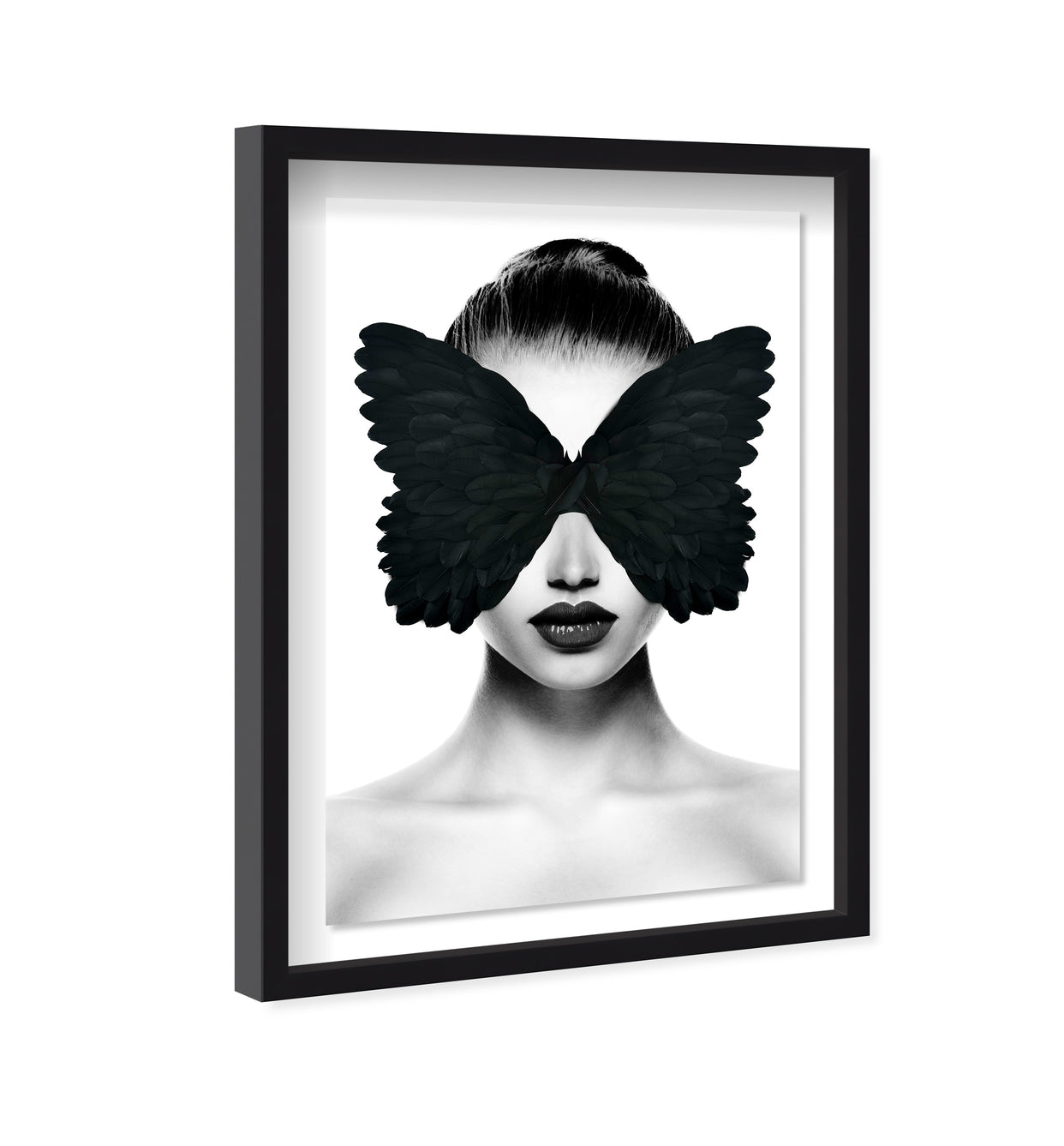 Midnight Duchess II Feathers