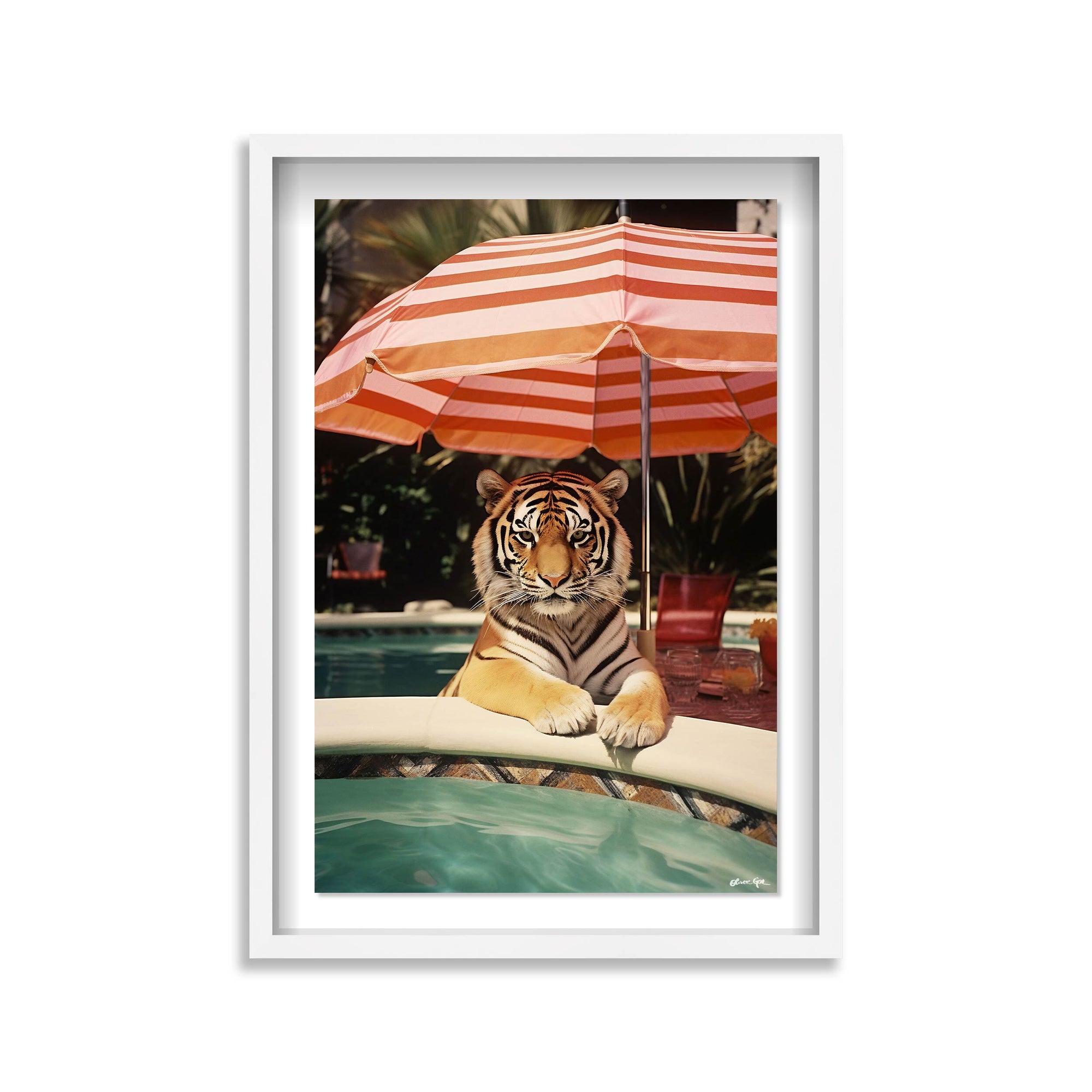 Poolside Tiger Encounter