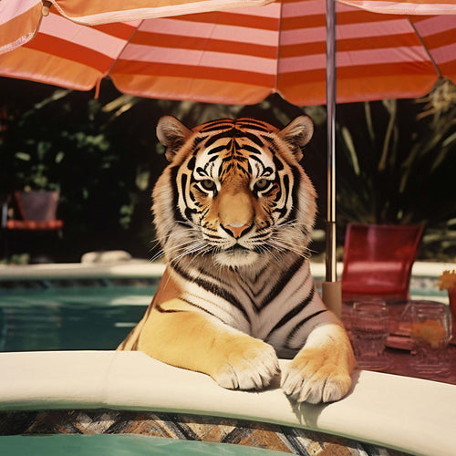 Poolside Tiger Encounter