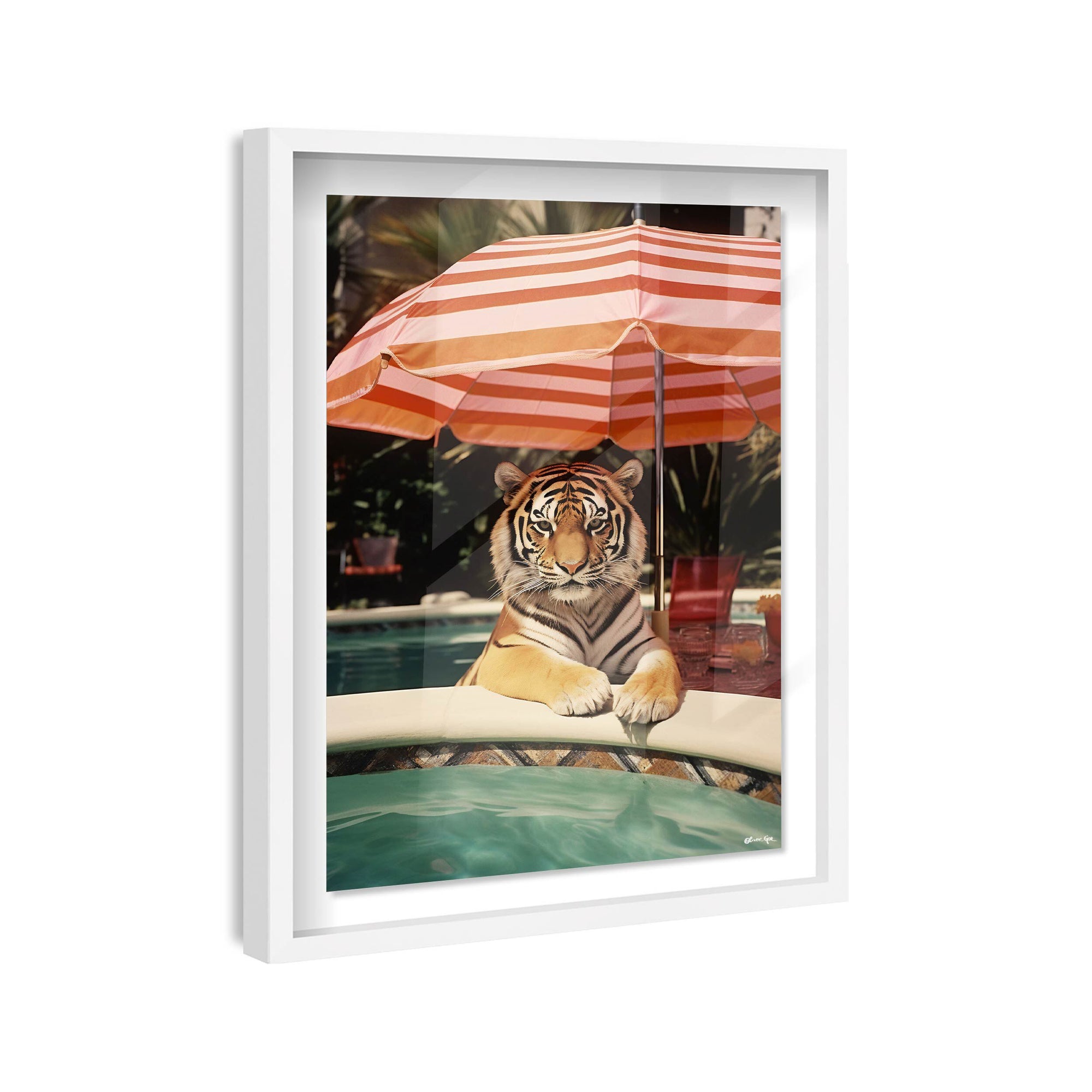 Poolside Tiger Encounter