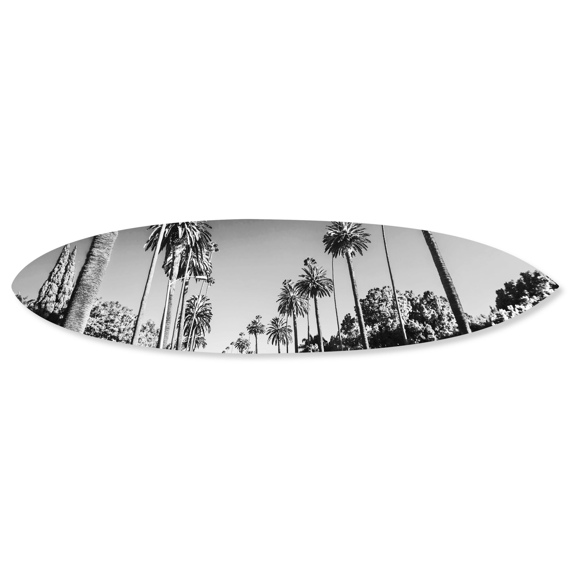 Beverly Drive Surfboard