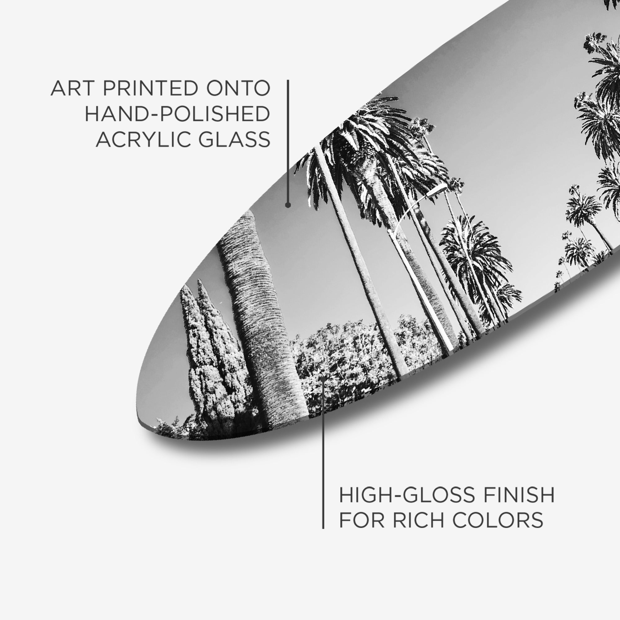 Beverly Drive Surfboard