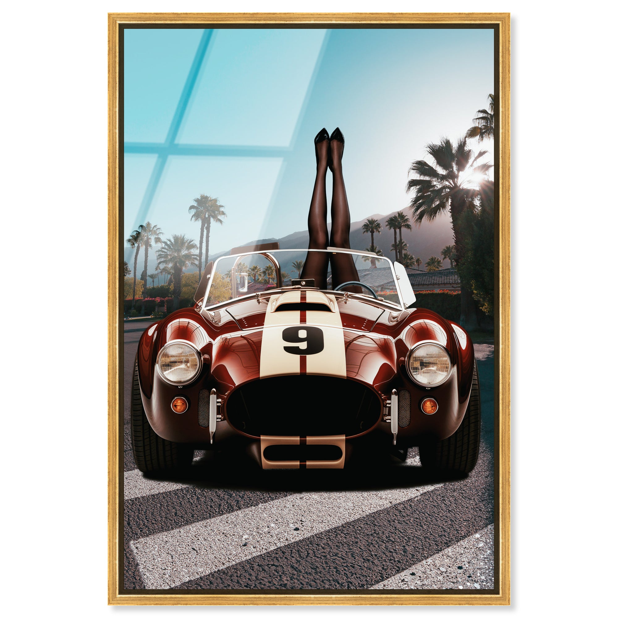Legs up Cobra - Framed Acrylic Art