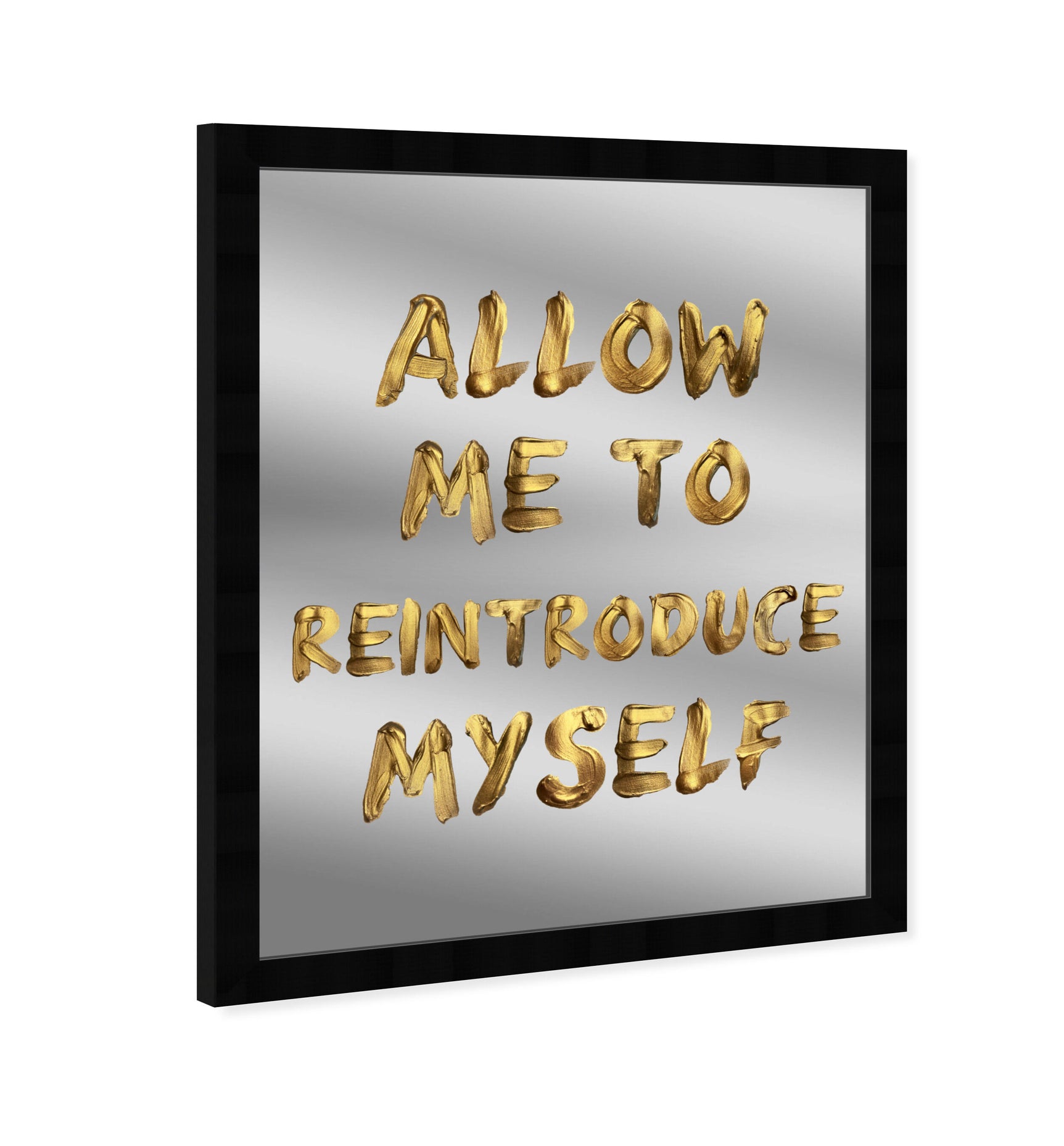 Reintroduce Myself - Decorative Mirror