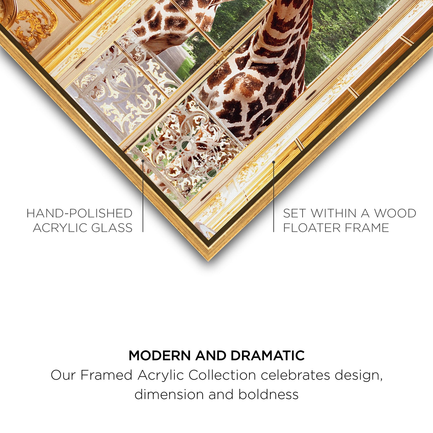 36x54x2/Acrylic/PSGLD