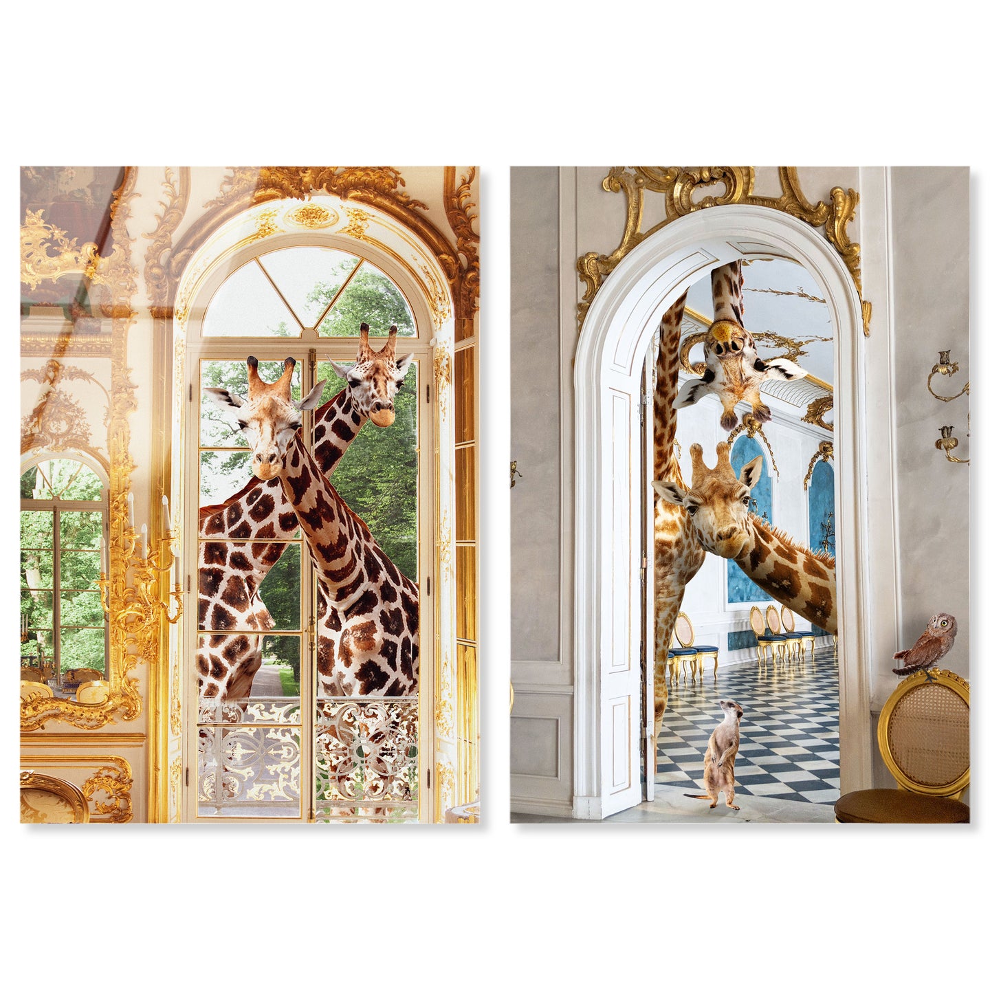 36x54x2/Acrylic/Unframed