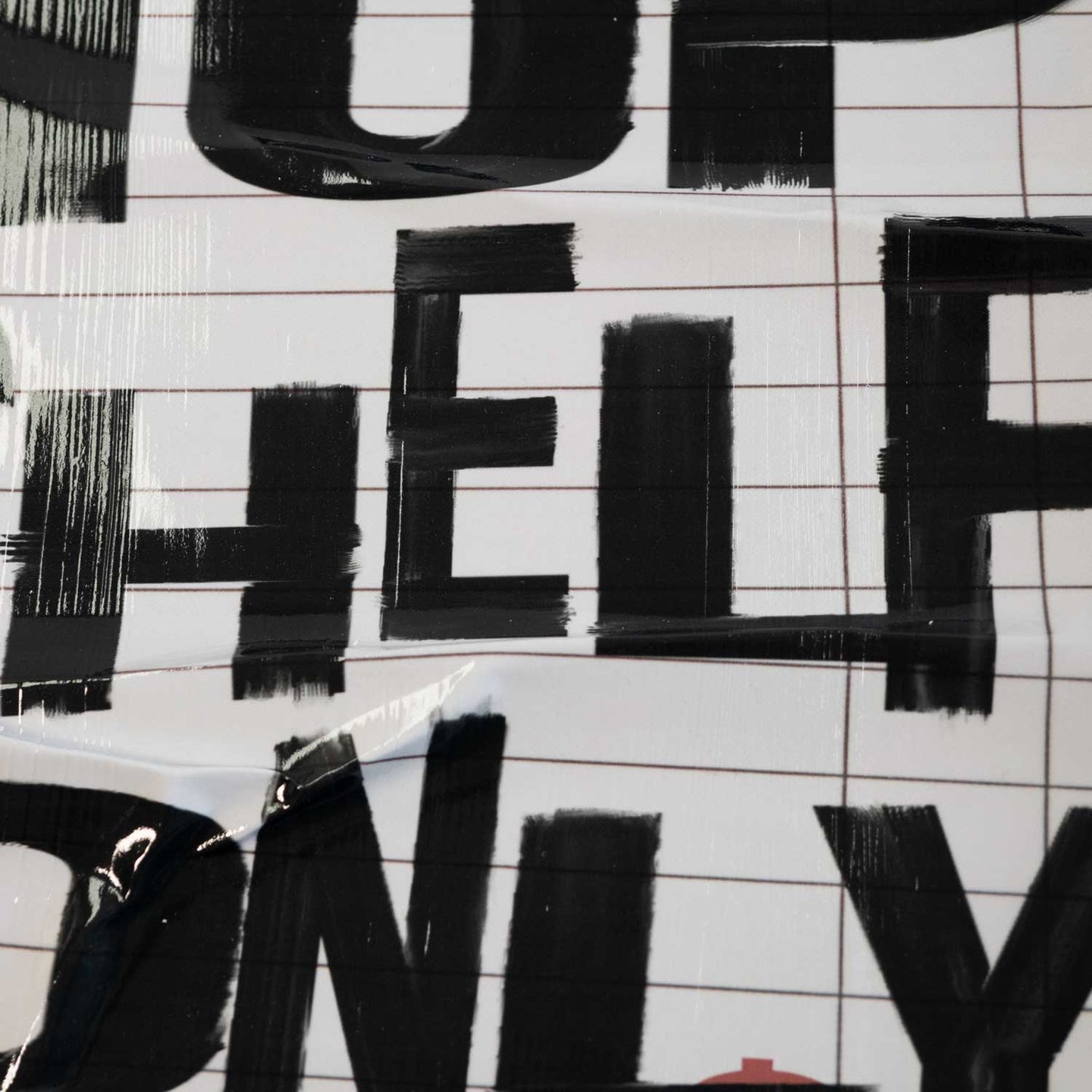 16x24/Shadowbox/SBW2