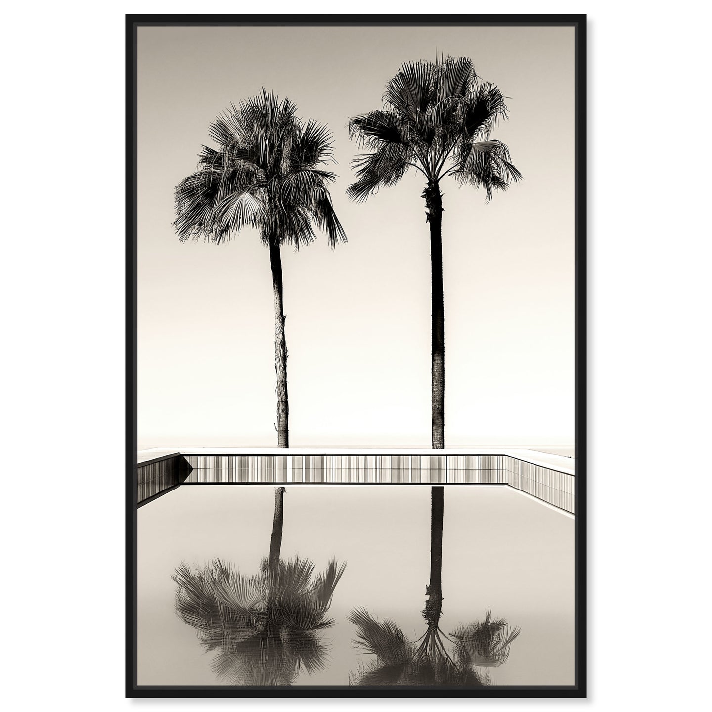 Two Palms