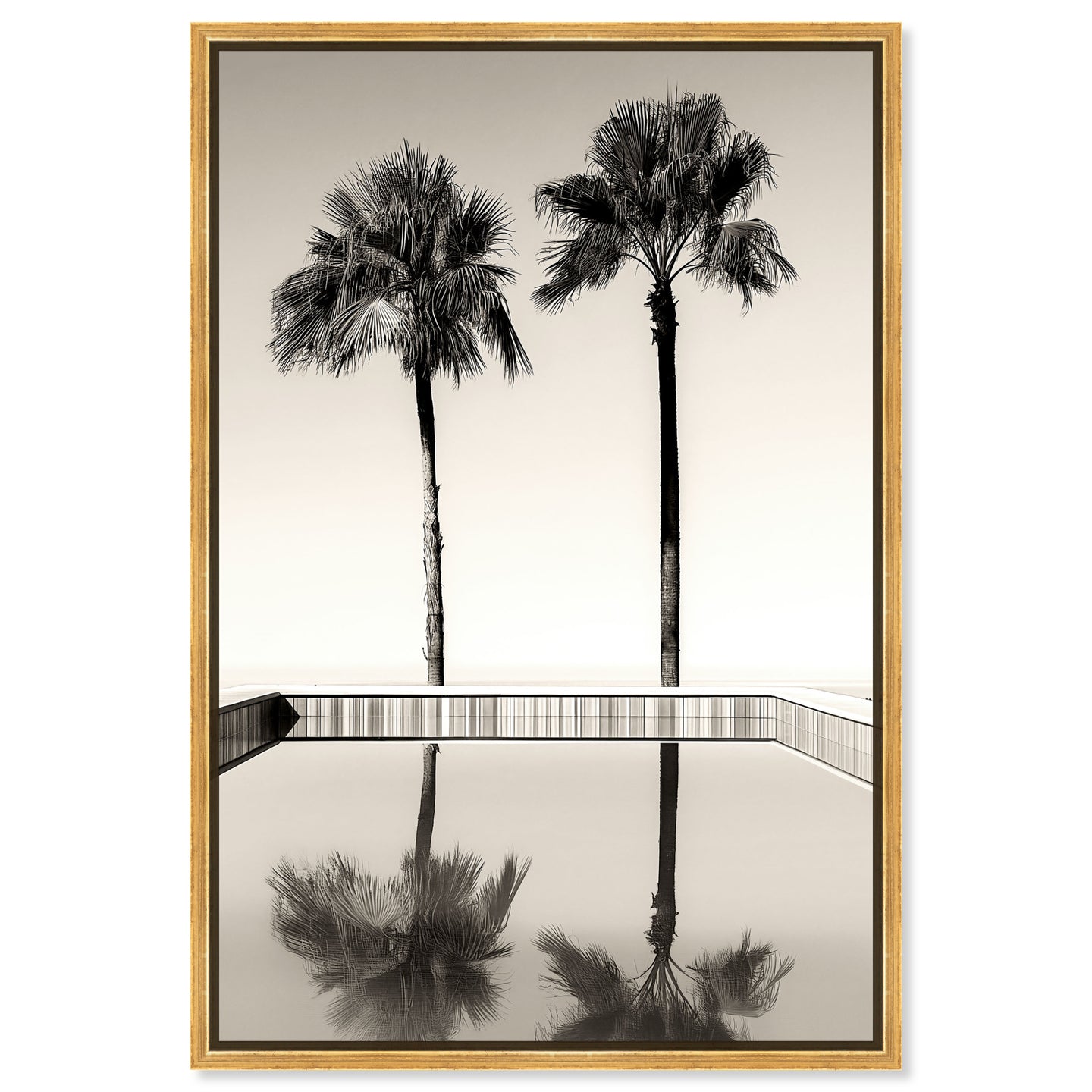 Two Palms