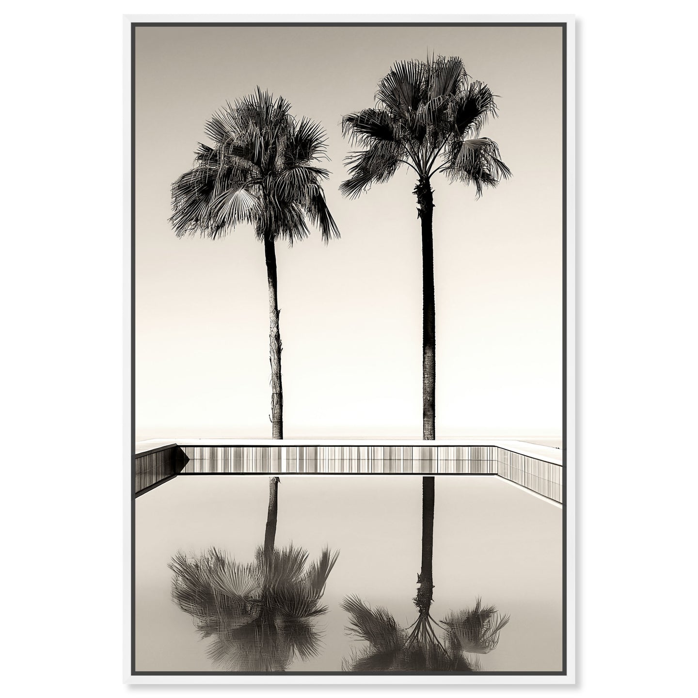 Two Palms