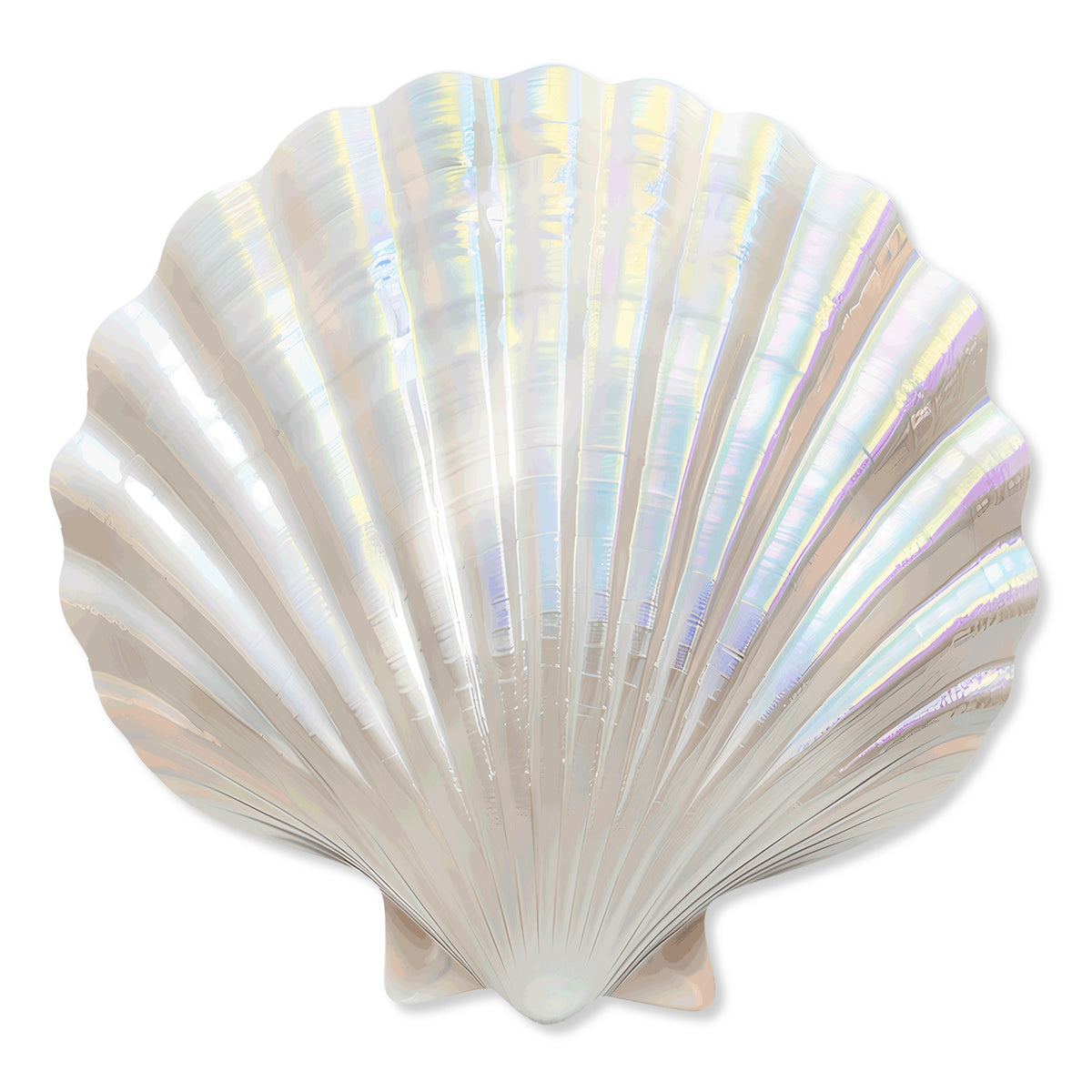 Fan Shell 2 Diecut | Animals Wall Art by Oliver Gal
