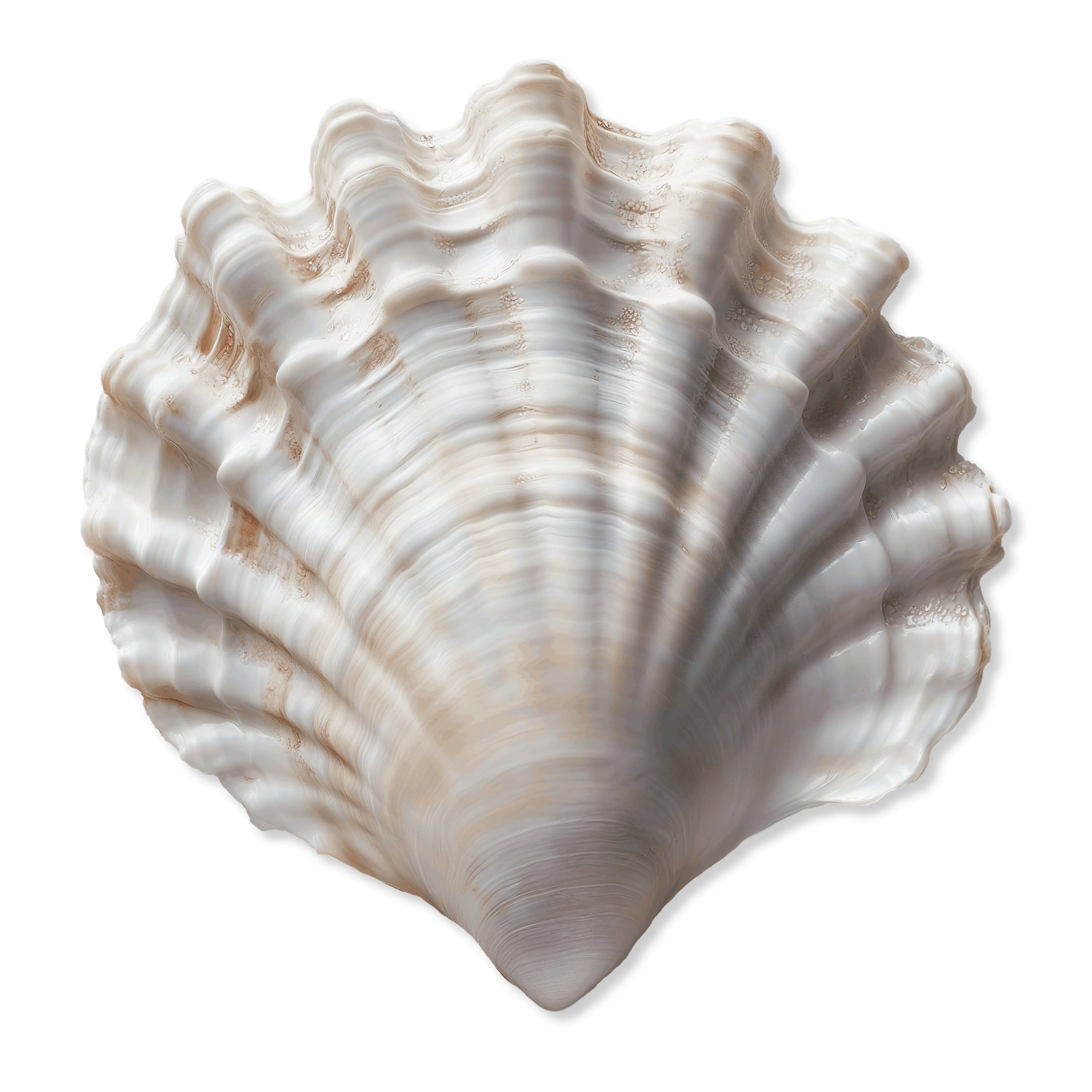 Category Image