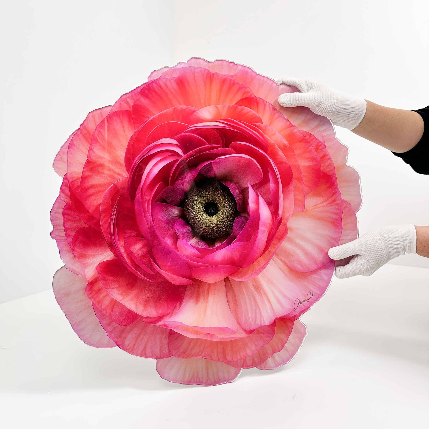 Oliver Gal 水彩画 フラワーアート Flower Diecut 6 | Floral and Botanical Wall Art by Oliver Gal