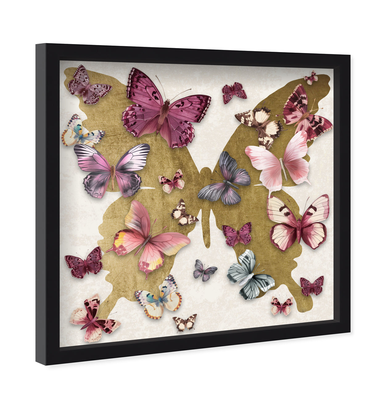 40x40/Shadowbox/SBB
