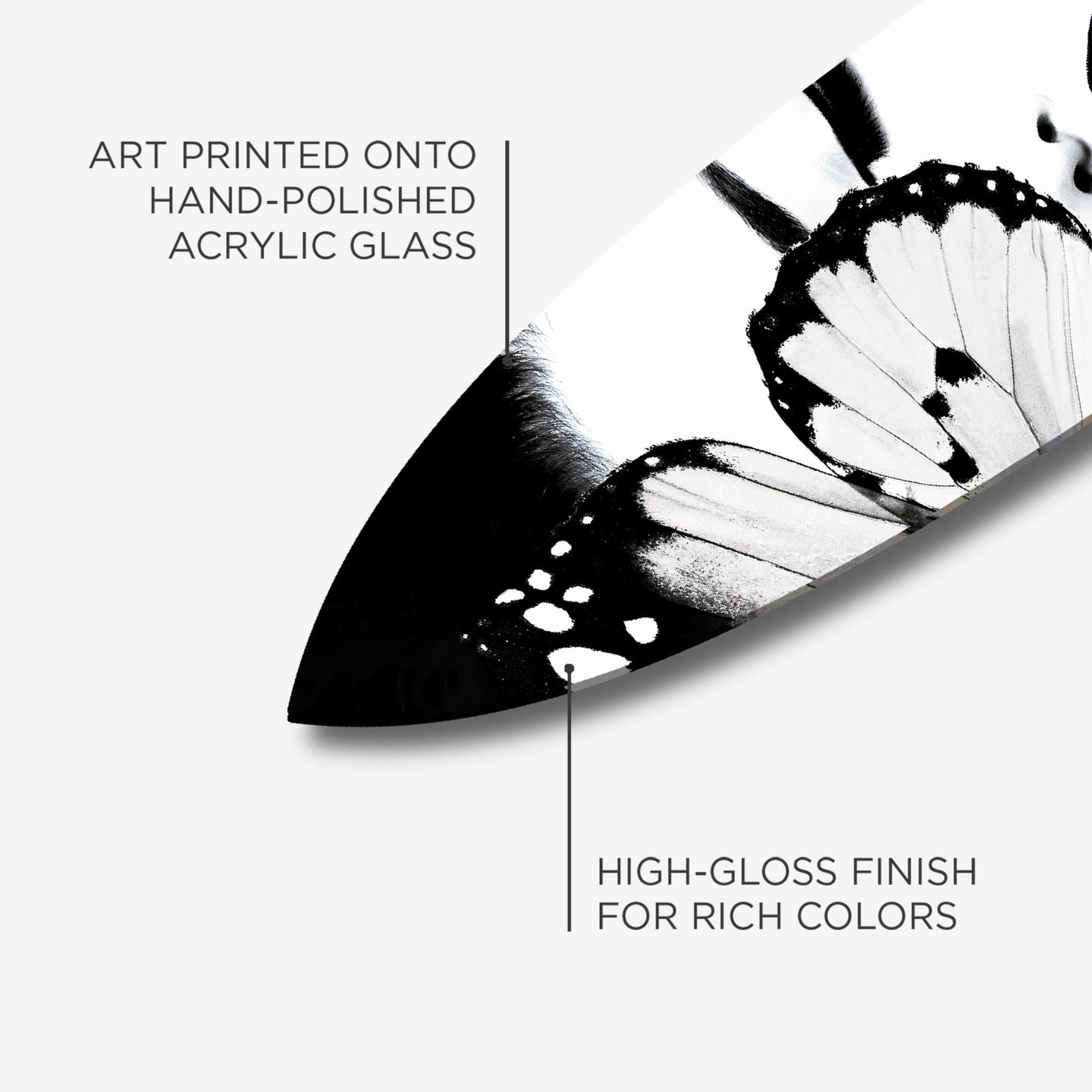 Dutchess of The Butterflies Surfboard