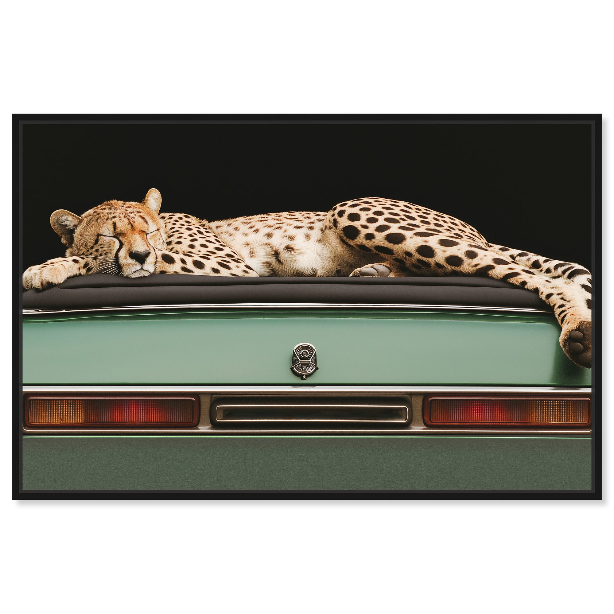 Sleepy Cadi Cheetah