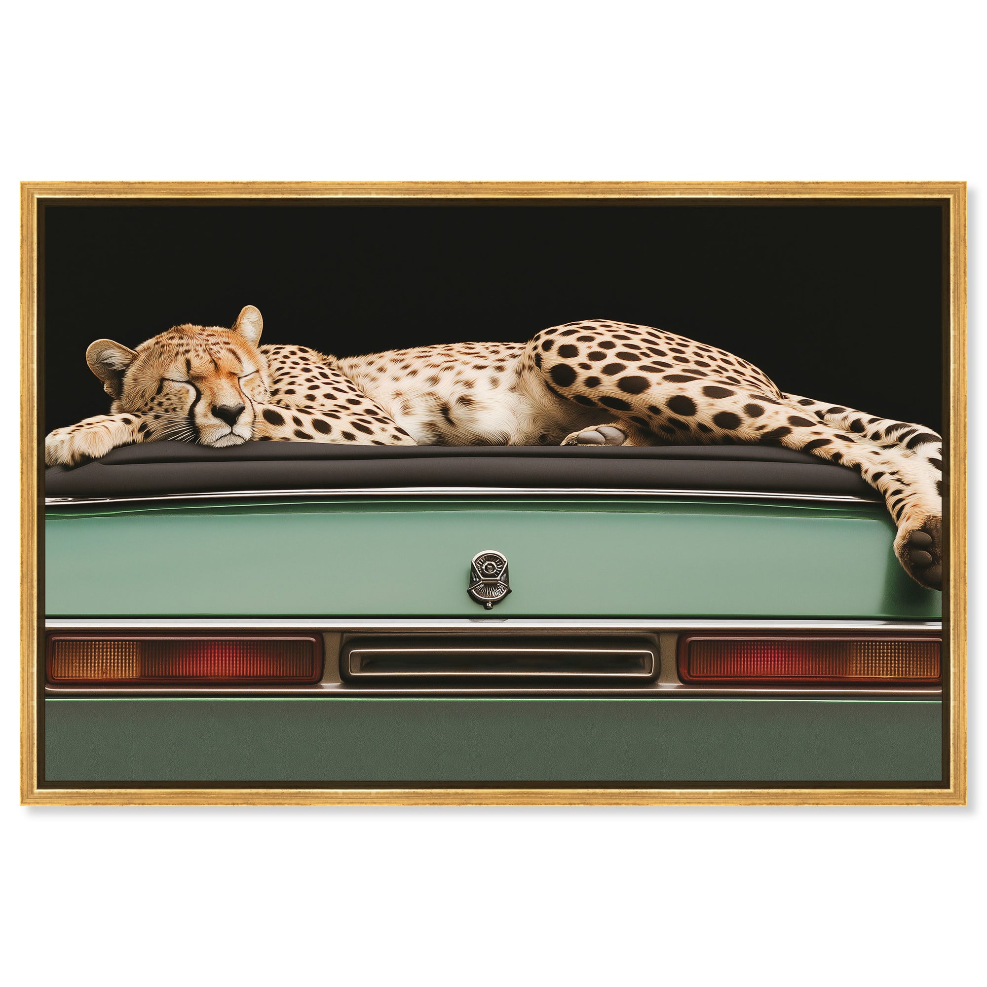 Sleepy Cadi Cheetah
