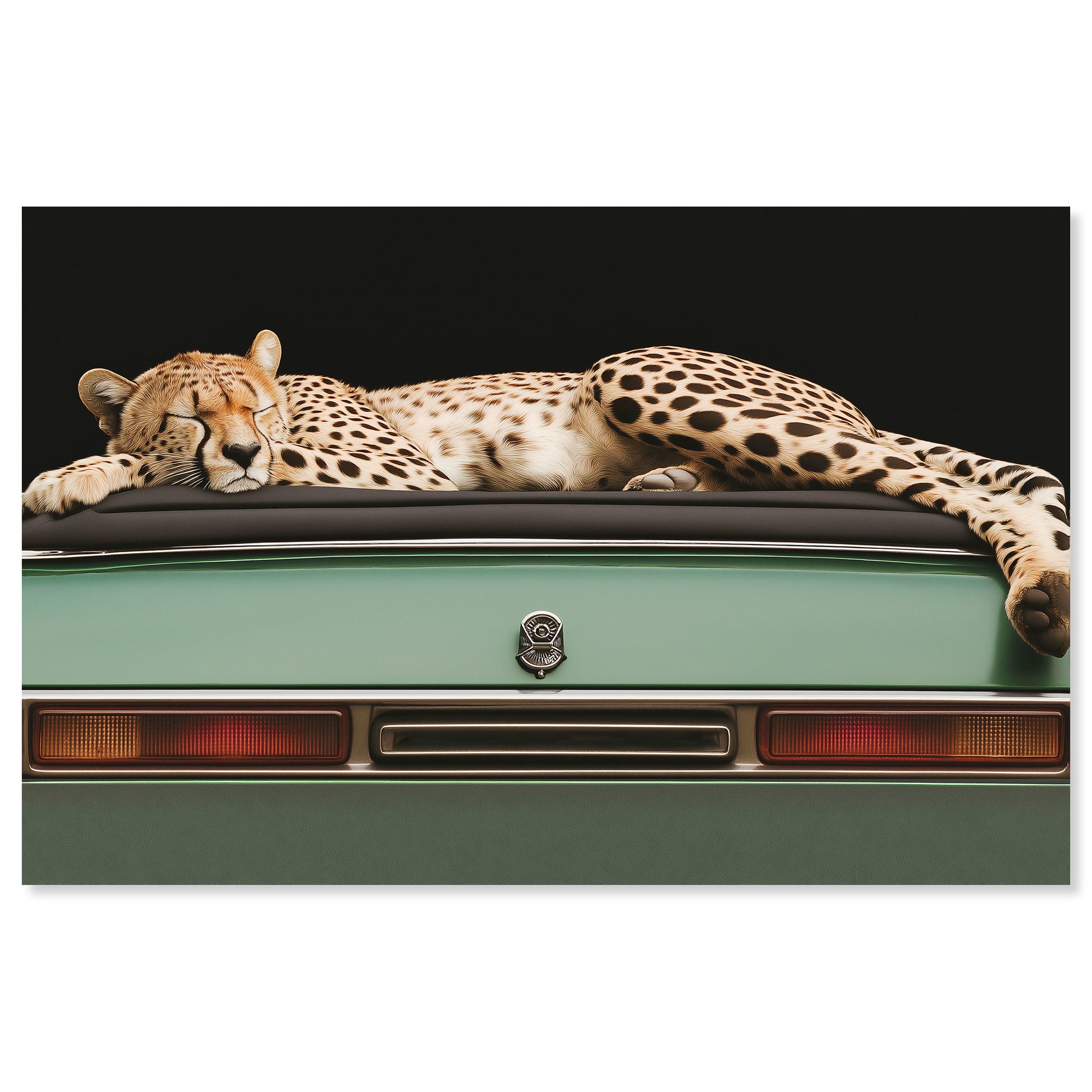 Sleepy Cadi Cheetah