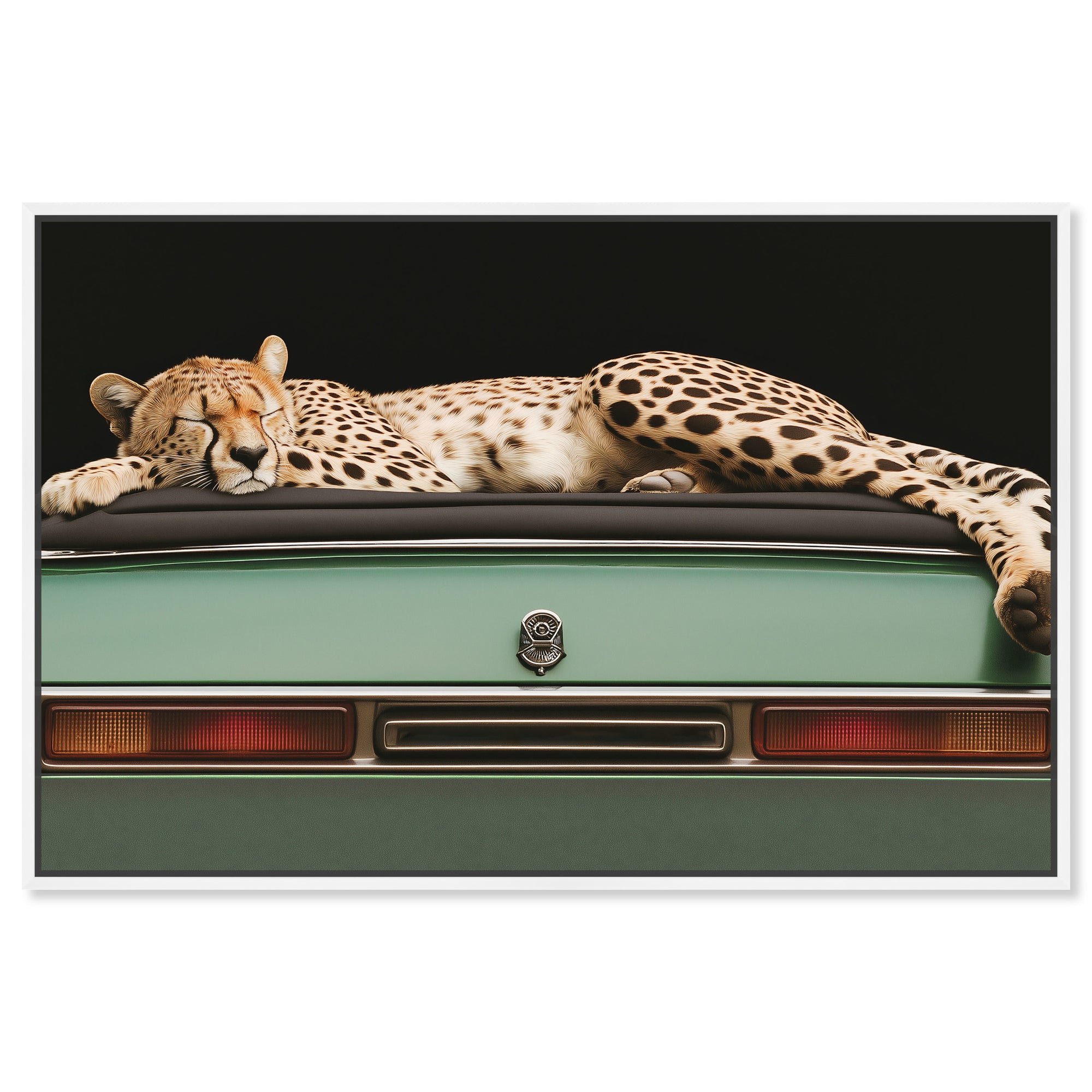 Sleepy Cadi Cheetah