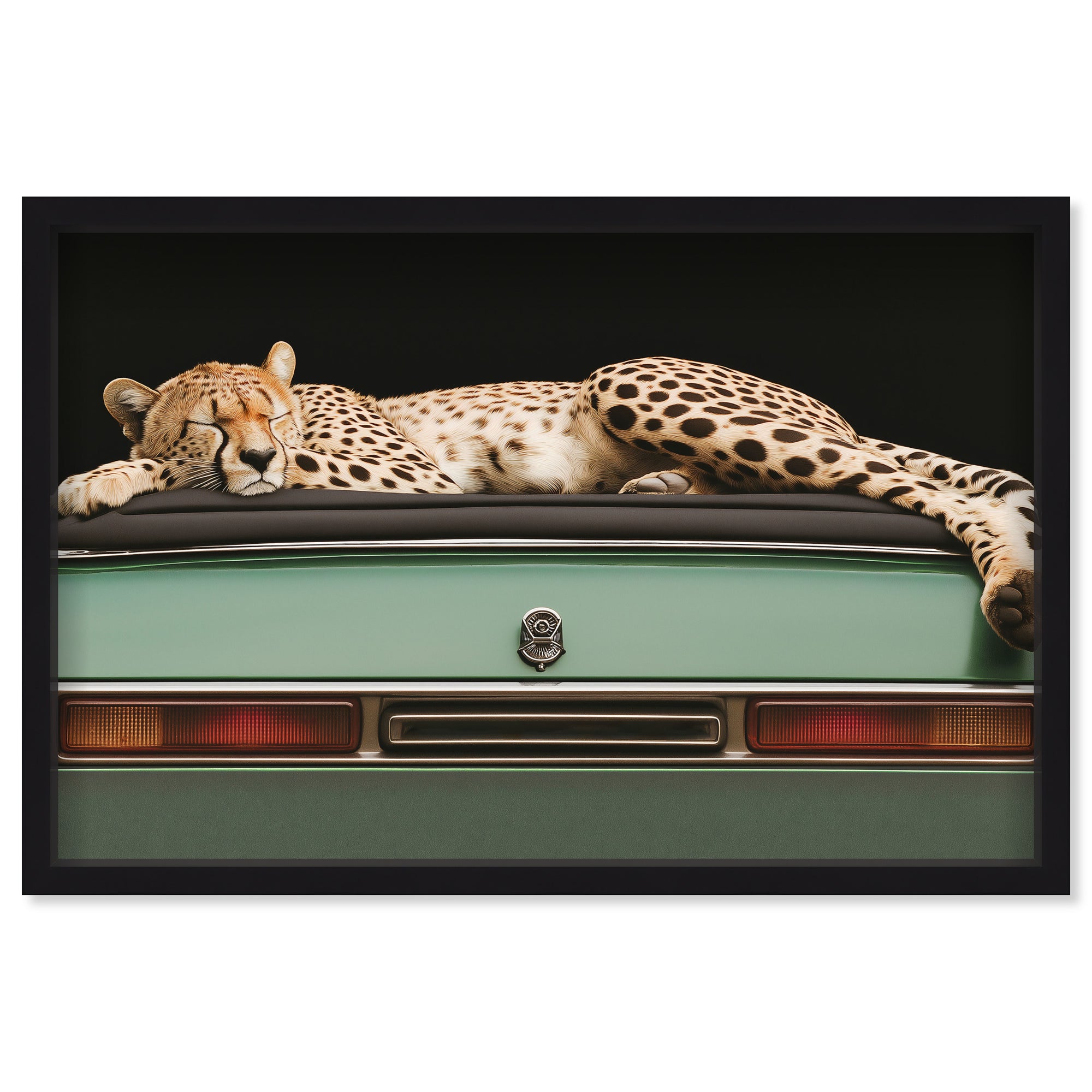 Sleepy Cadi Cheetah