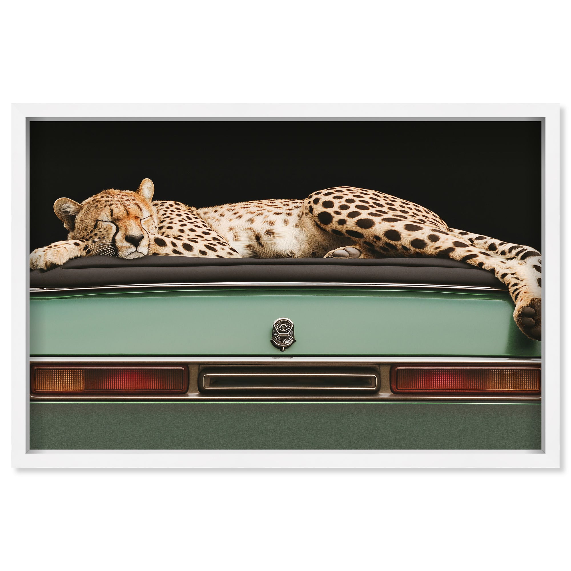 Sleepy Cadi Cheetah