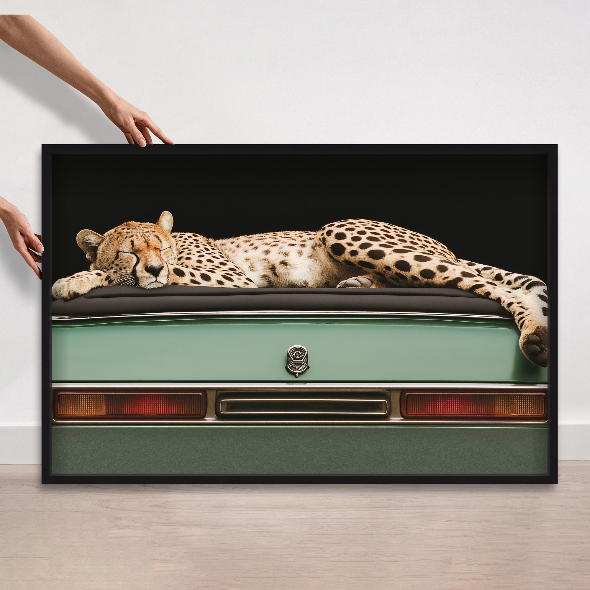 45x30/Shadowbox/SBB2