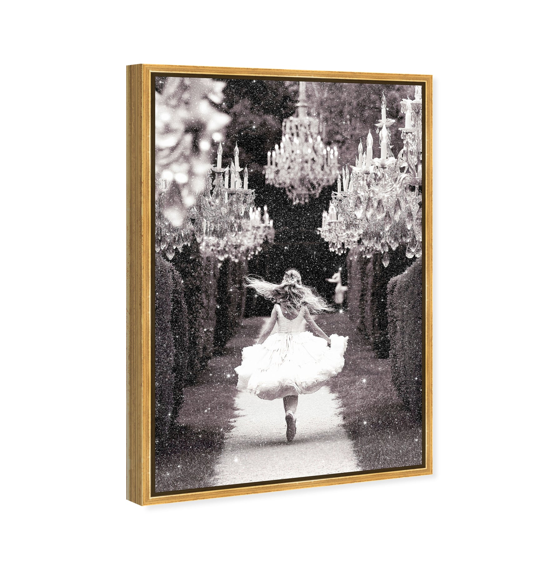30x45/Museum Grade Canvas/PSGLD