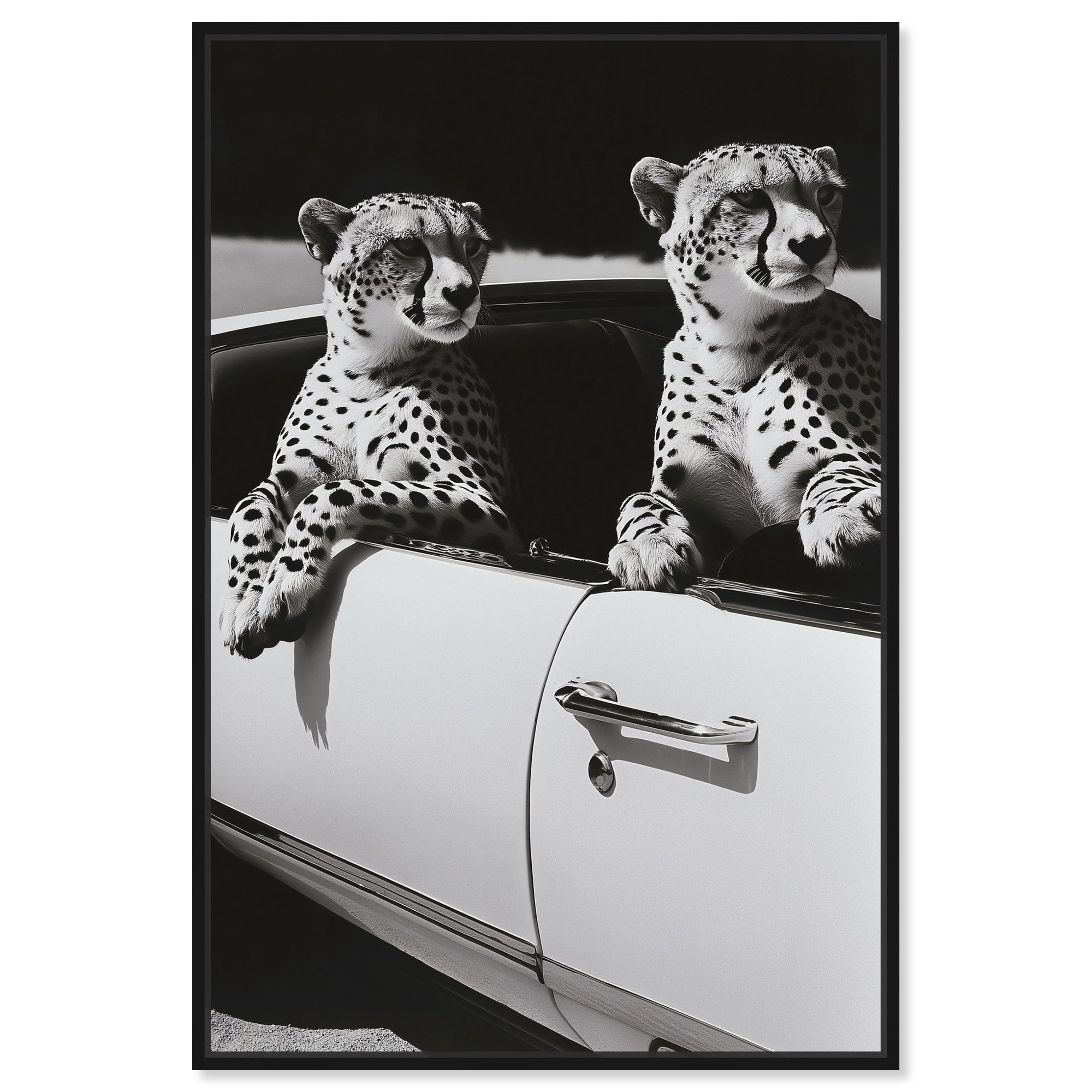 Convertible Feline II