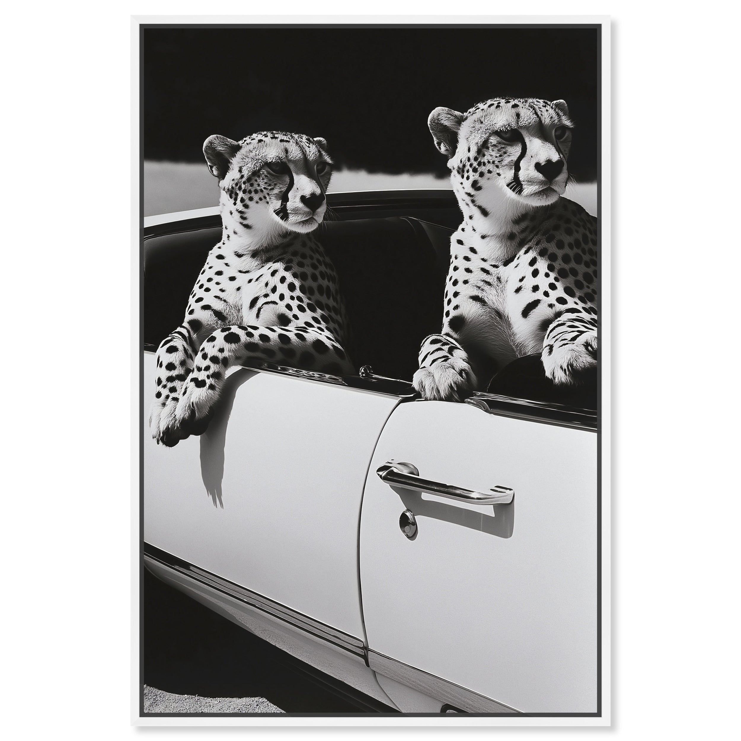 &Collection　オリバーガル Convertible Feline II | Animals Wall Art by Oliver Gal